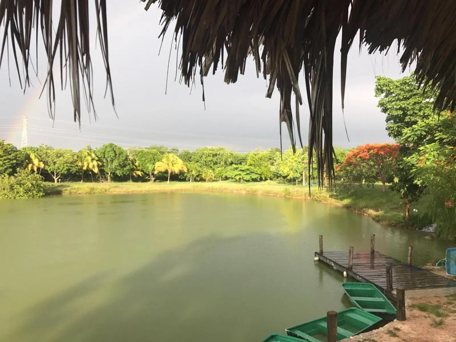 Restaurant/places to eat in Villas Vallazoo