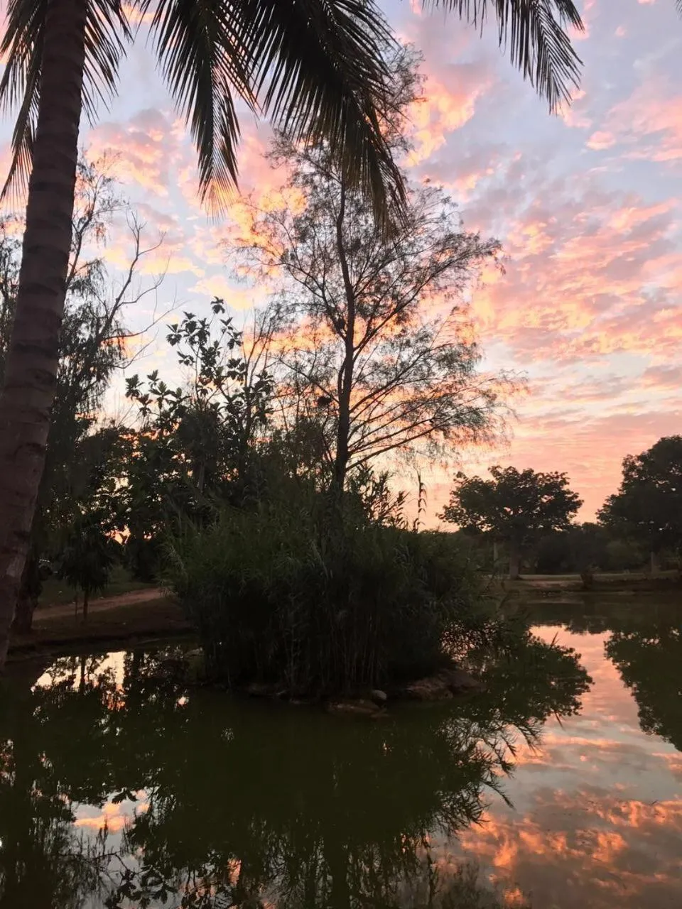 Garden in Villas Vallazoo