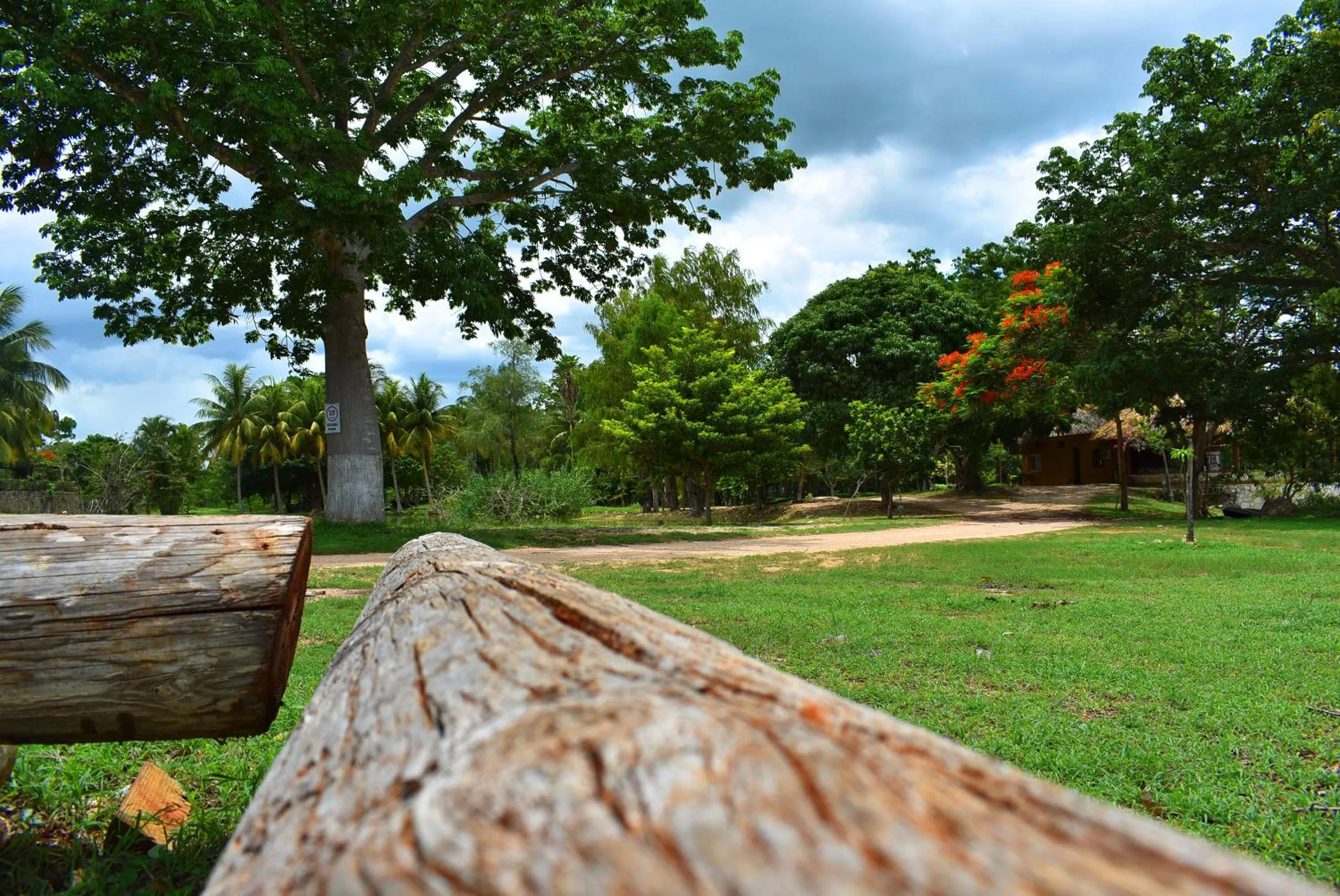 Natural landscape in Villas Vallazoo