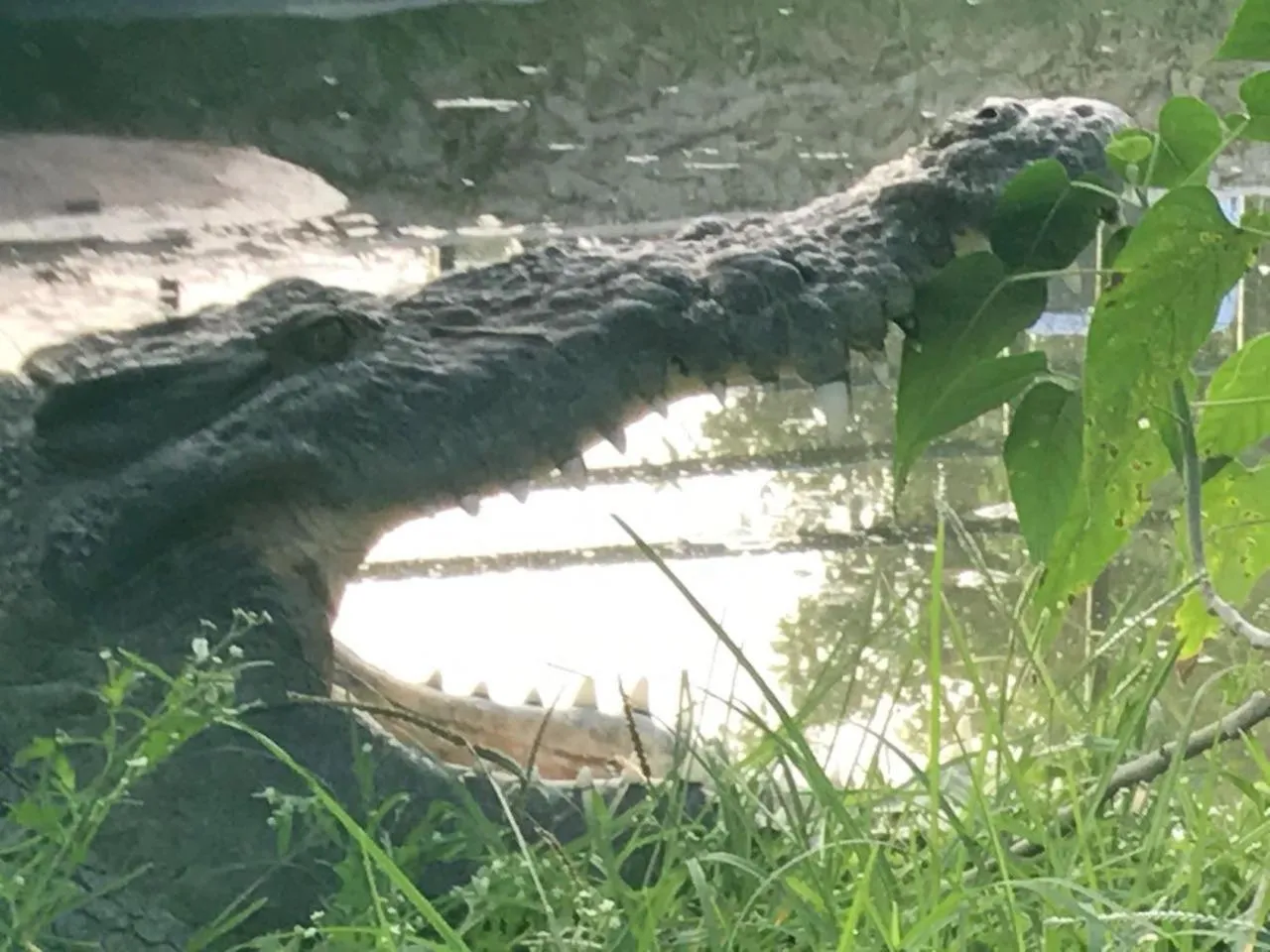 View (from property/room) in Villas Vallazoo