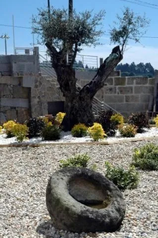 Day in Hotel Liñares