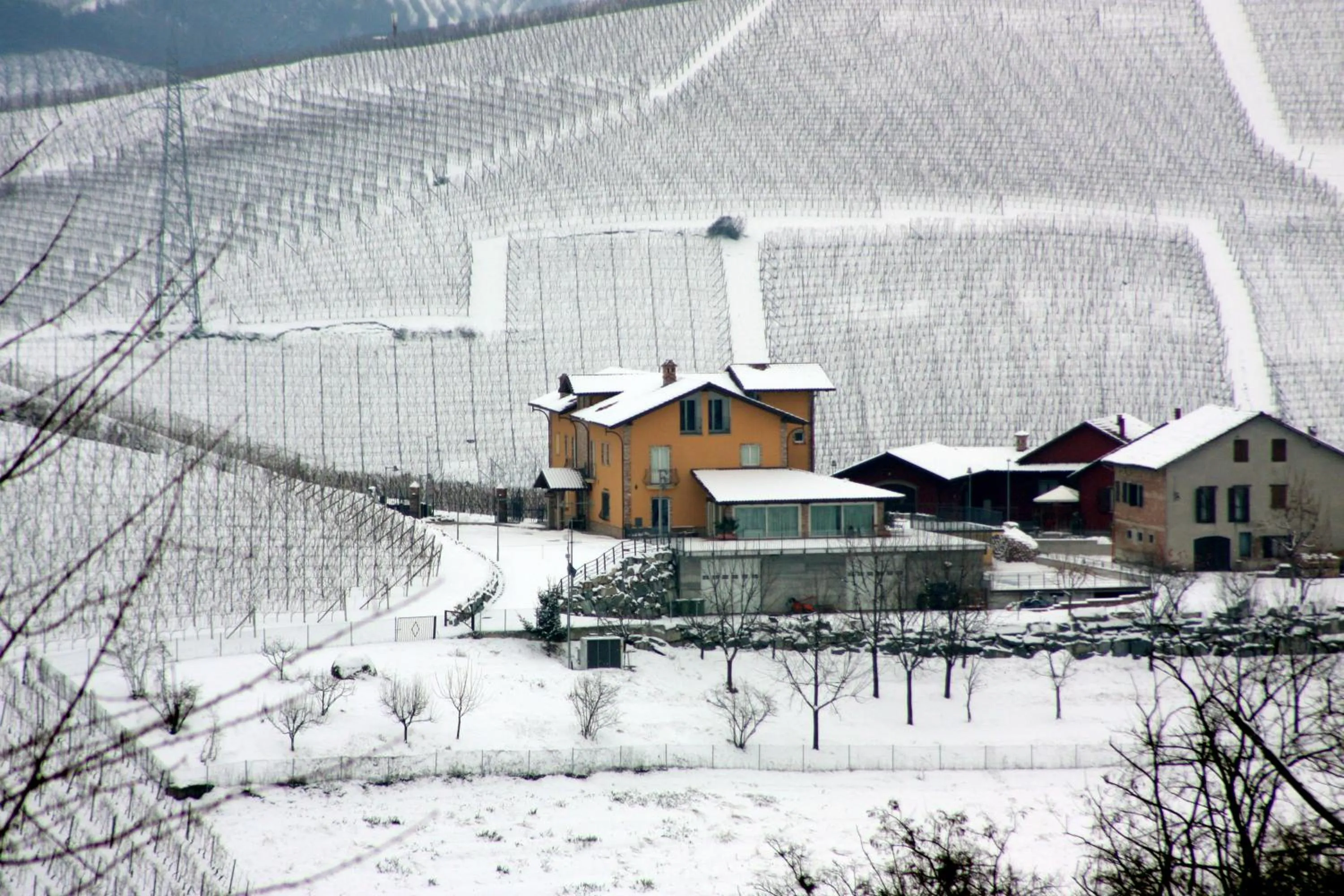 Area and facilities in Mongalletto