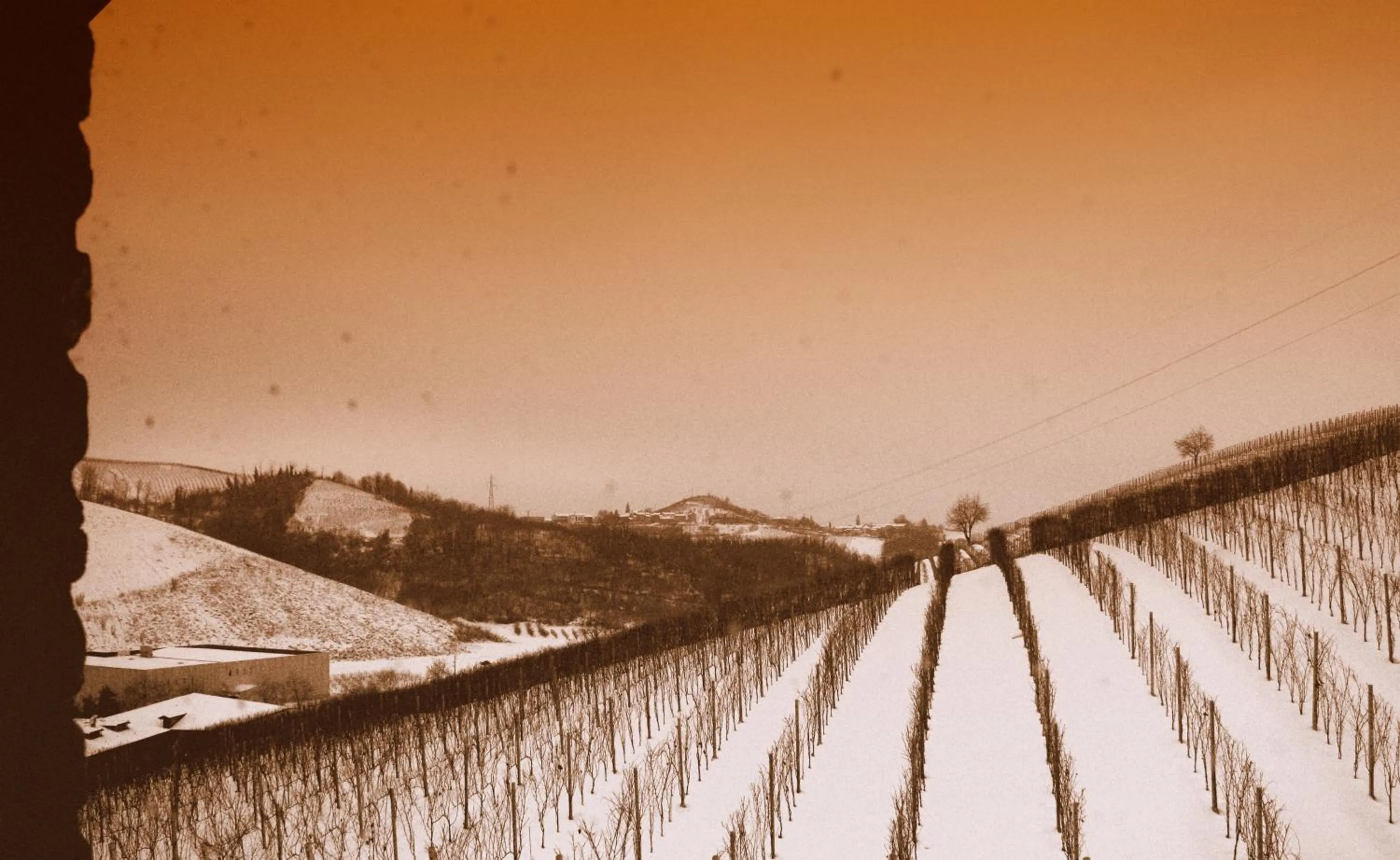 Area and facilities in Mongalletto