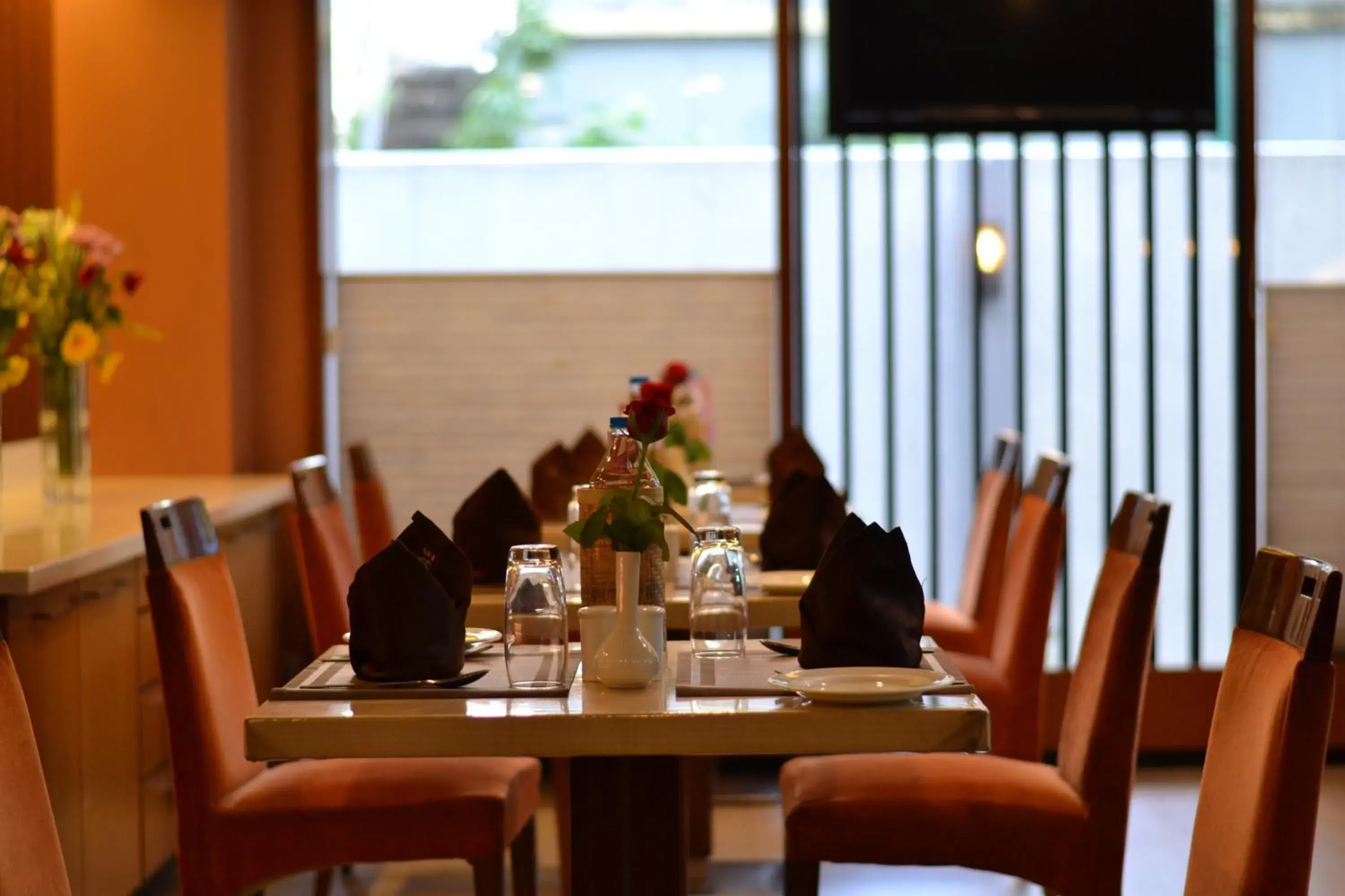 Restaurant/places to eat in Southern Plaza Restaurant/places to eat in Southern Plaza