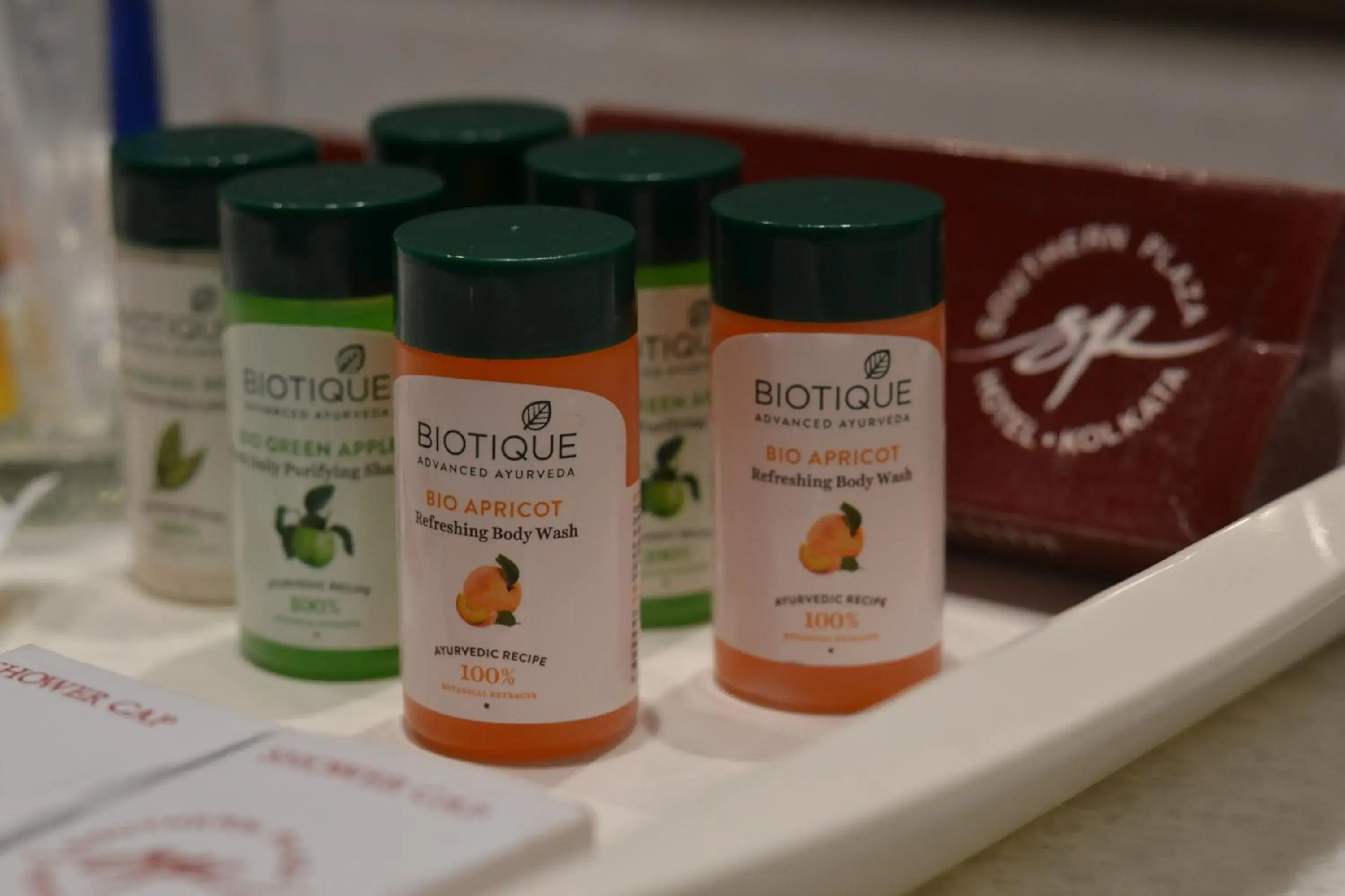 Bathroom in Southern Plaza Bathroom in Southern Plaza