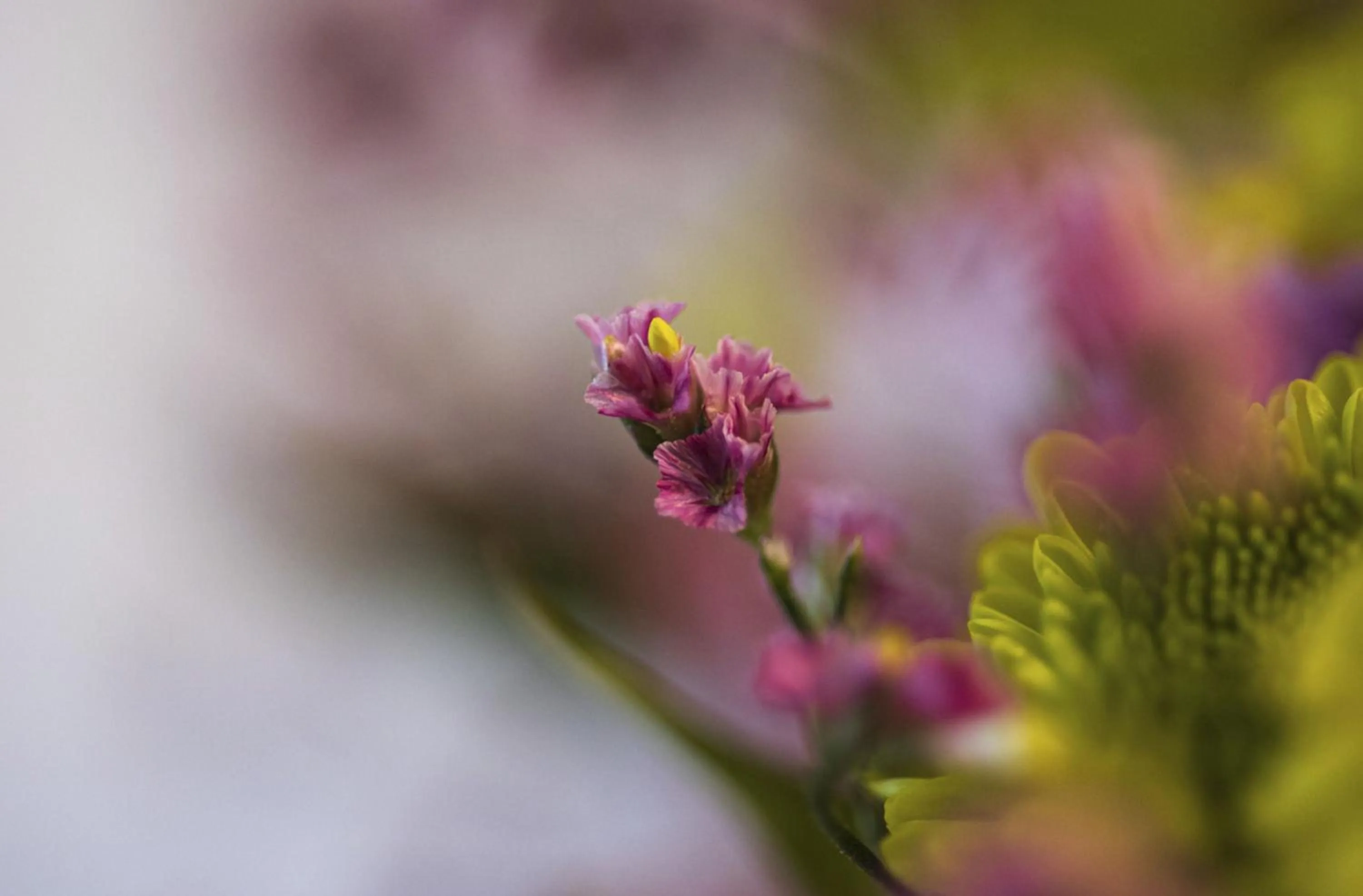 Cyan Américas Towers Hotel