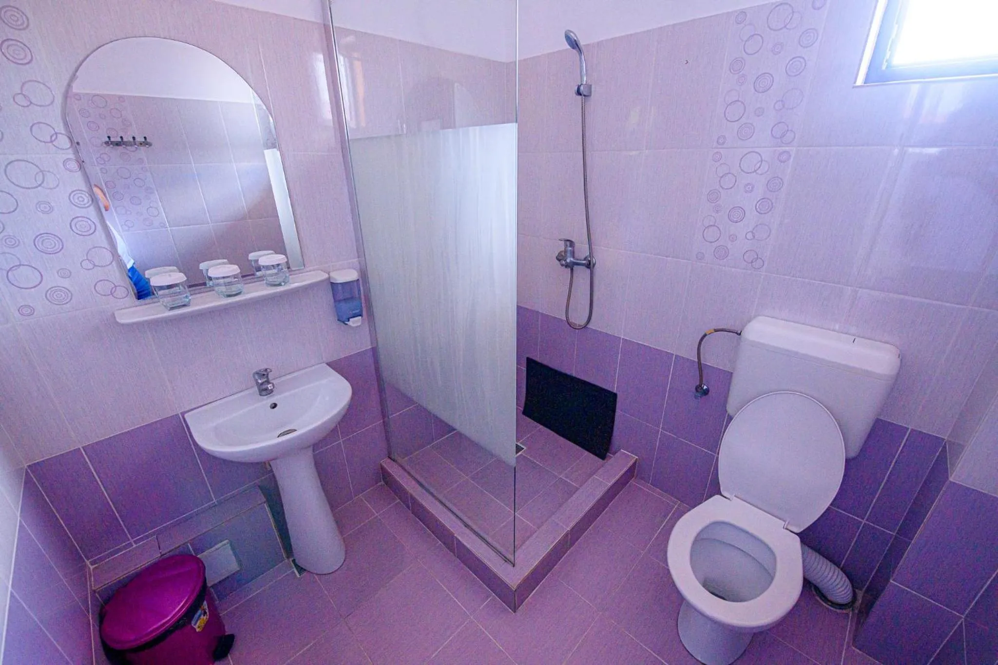 Shower in Pensiunea Domneasca
