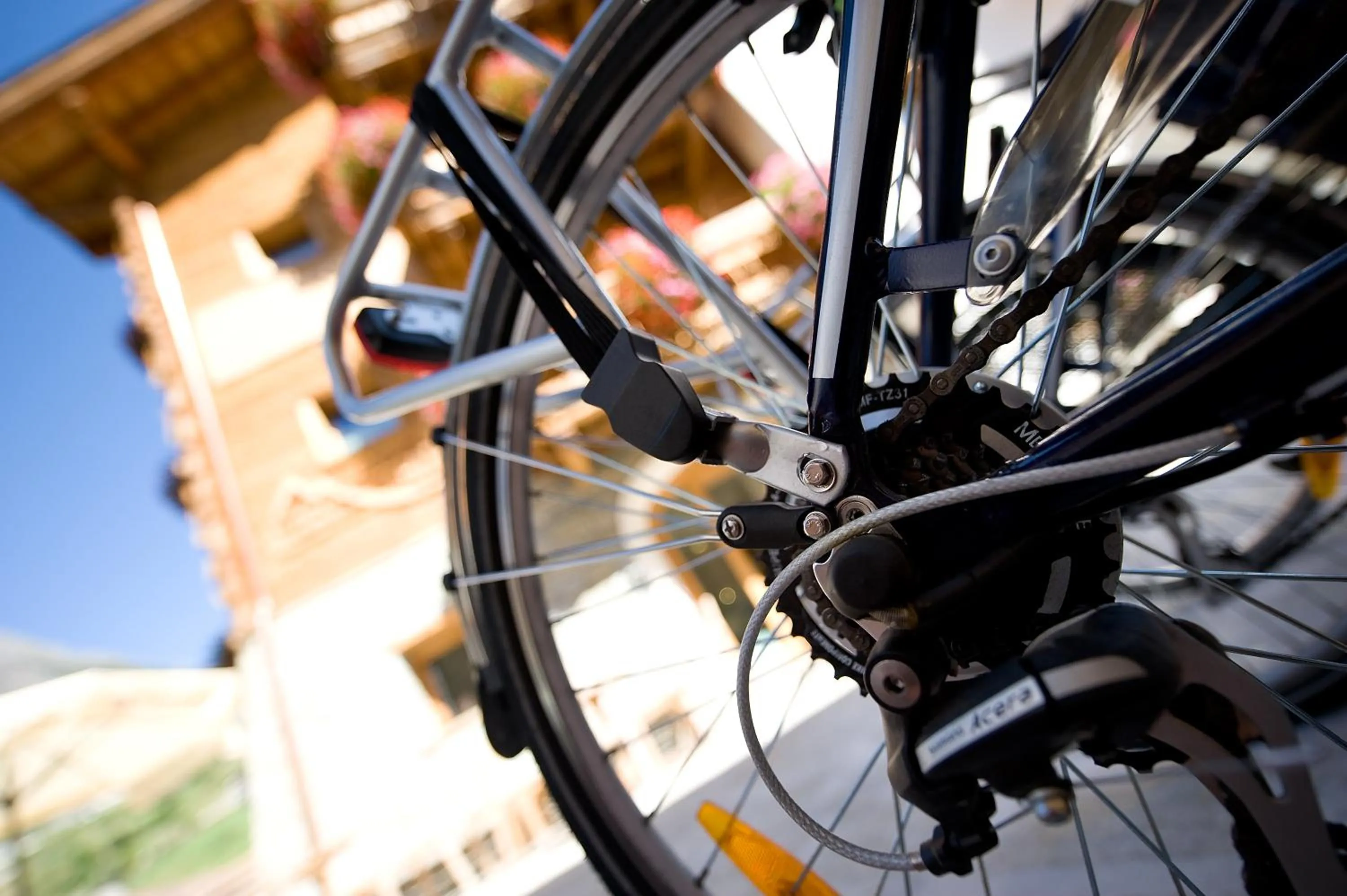 Cycling in Alpen Hotel Chalet