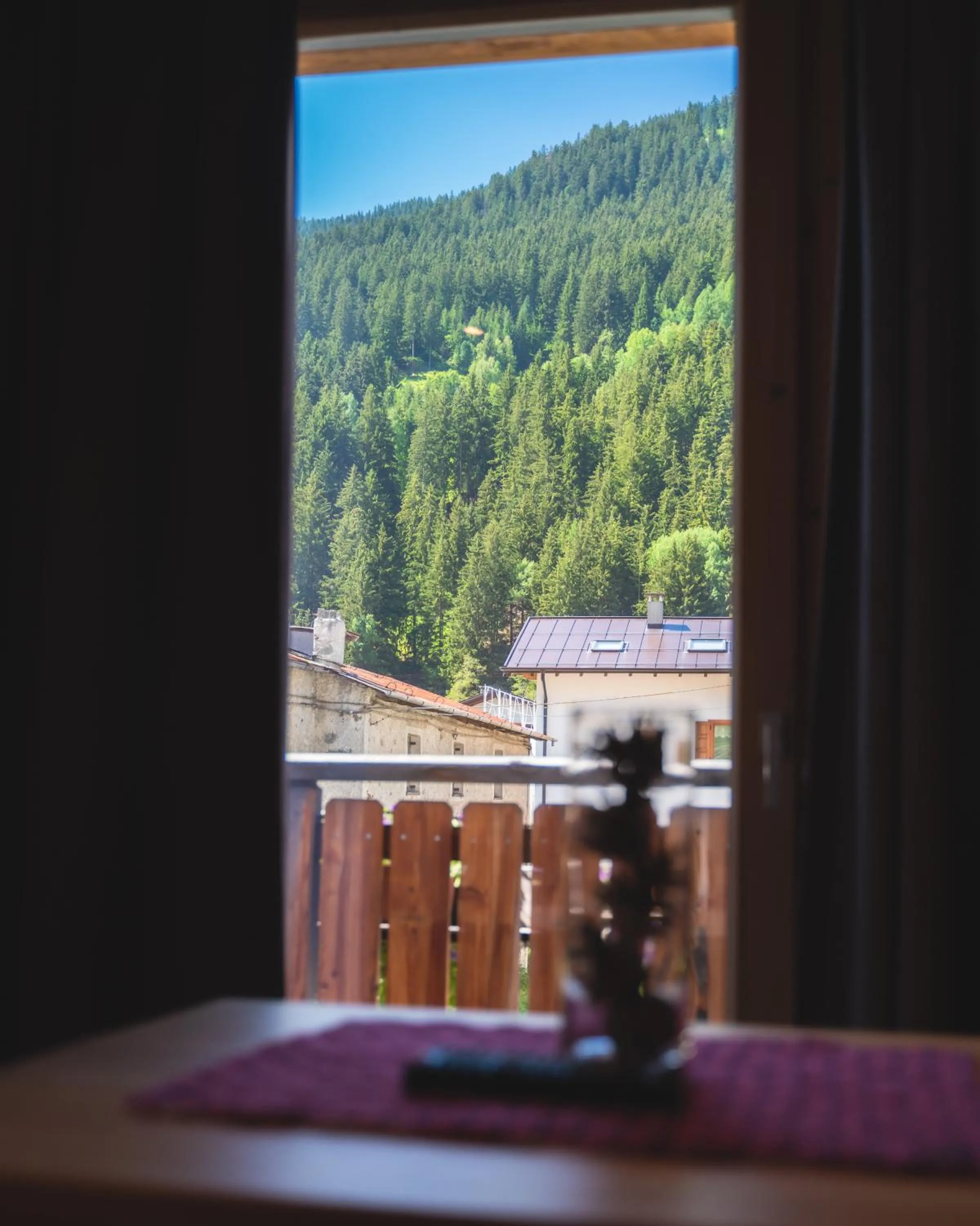 View (from property/room) in Alpen Hotel Chalet
