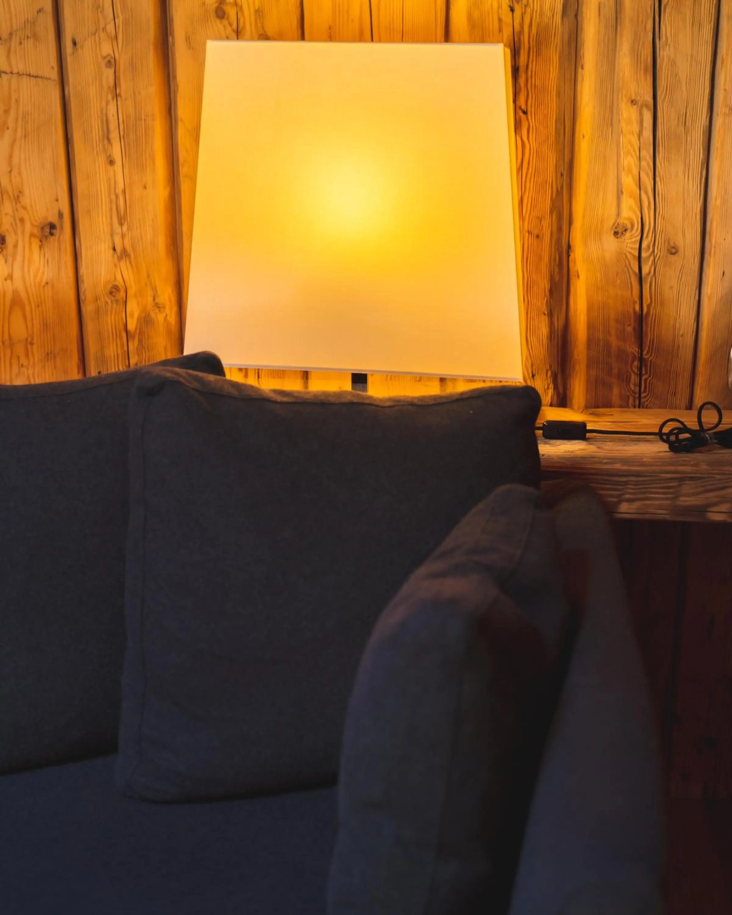 Living room in Alpen Hotel Chalet