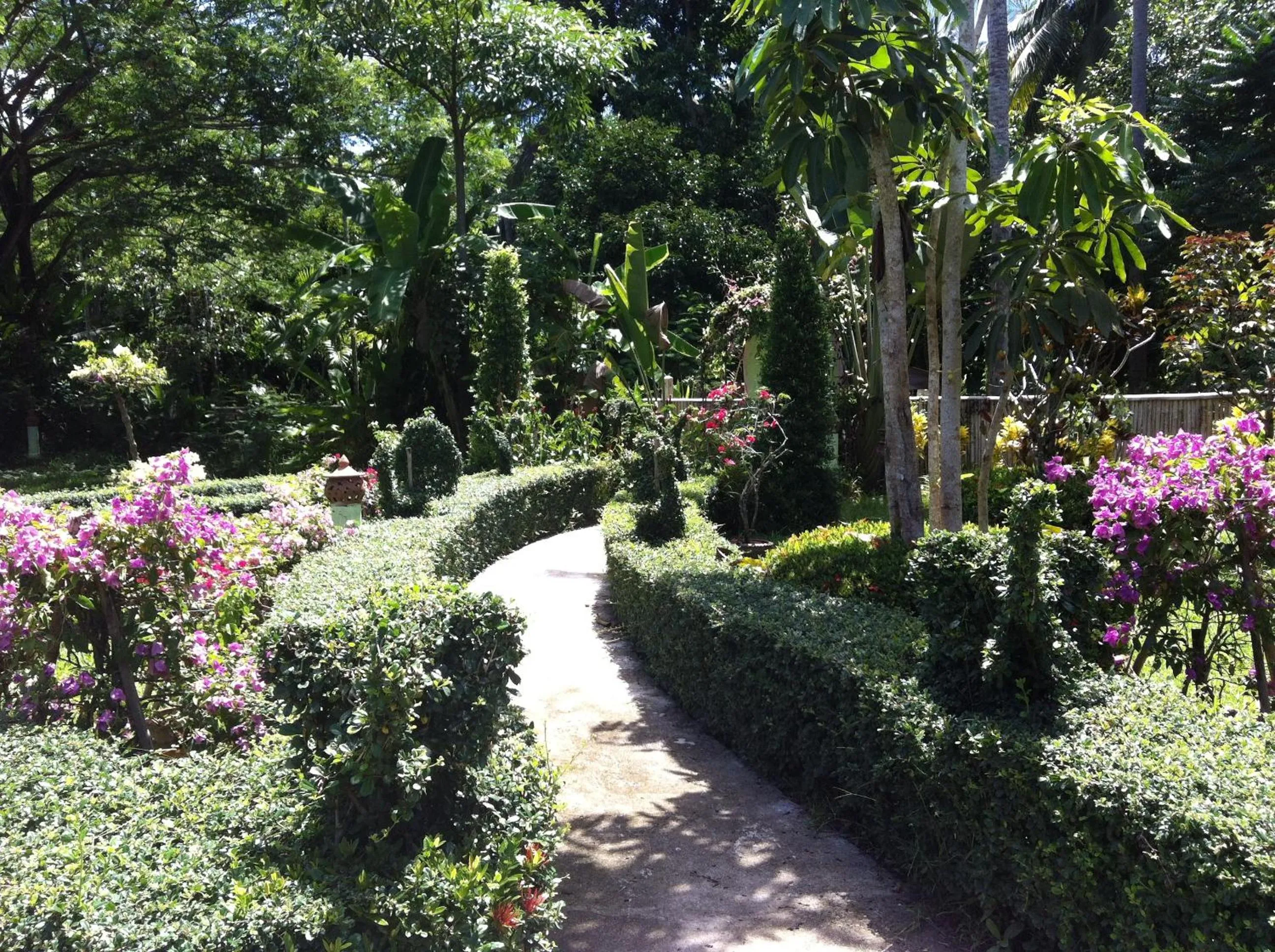 Garden in Ekman Garden Resort