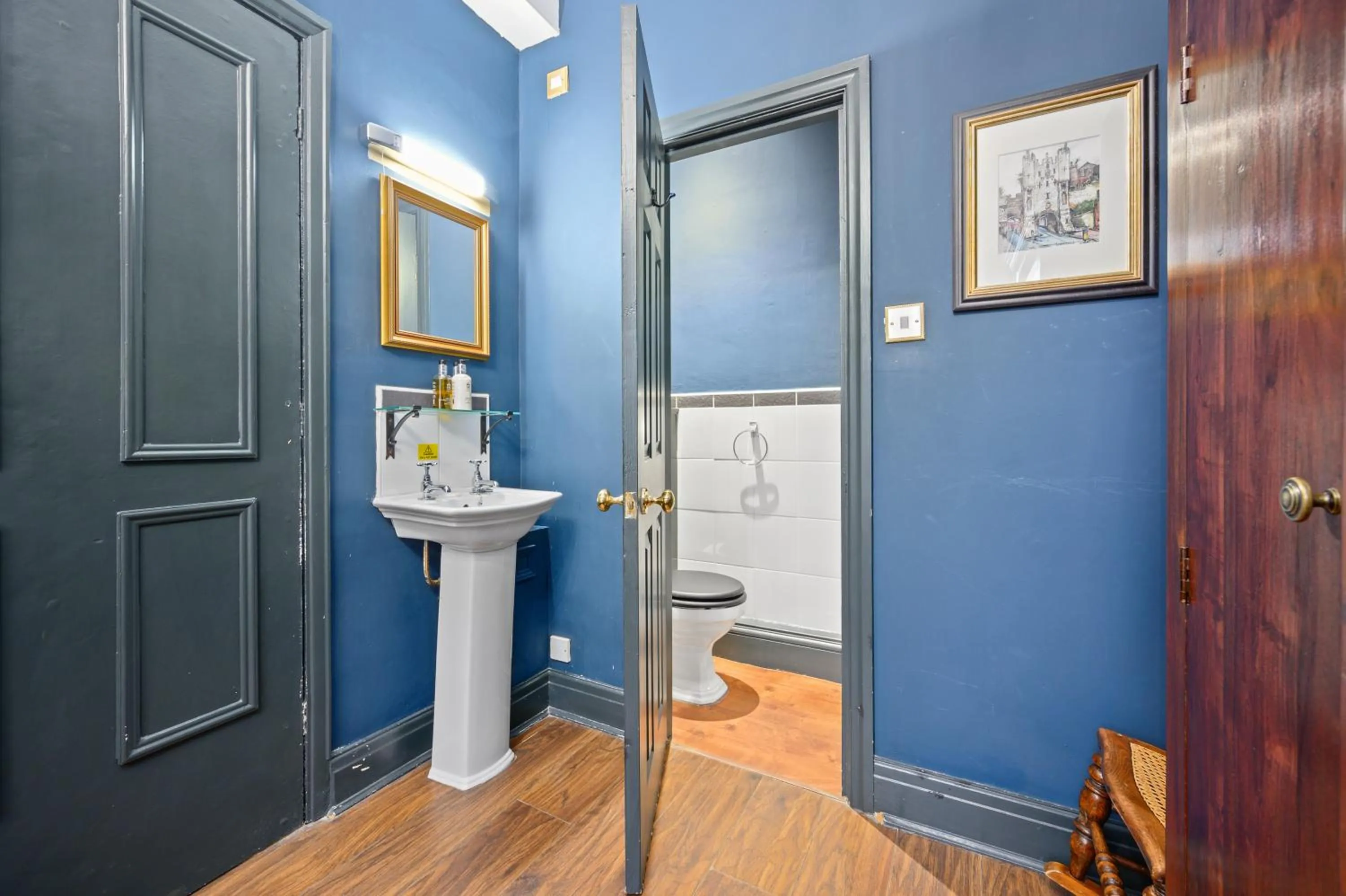 Toilet in The Fat Badger