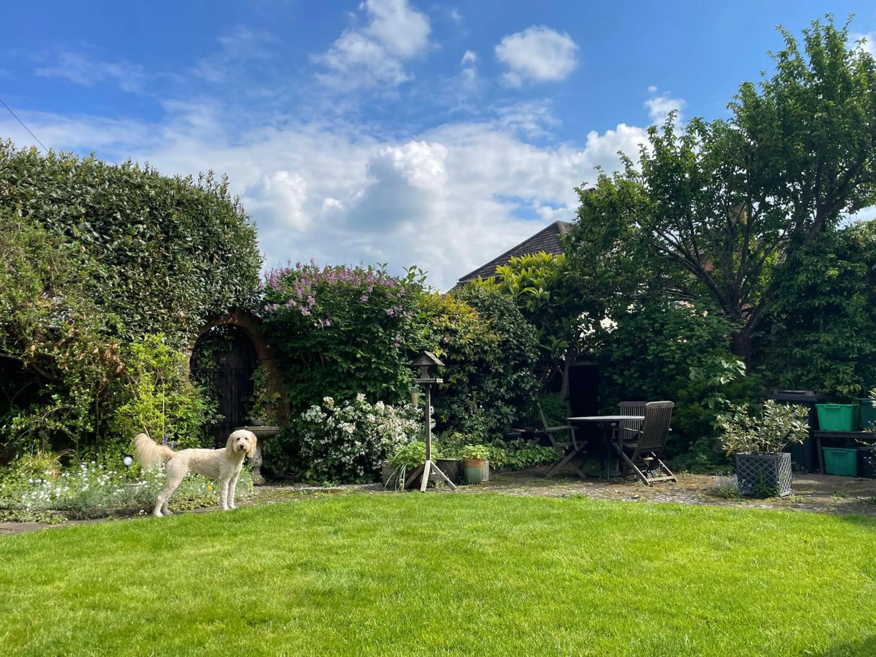 Garden in Clay Farm Guest House