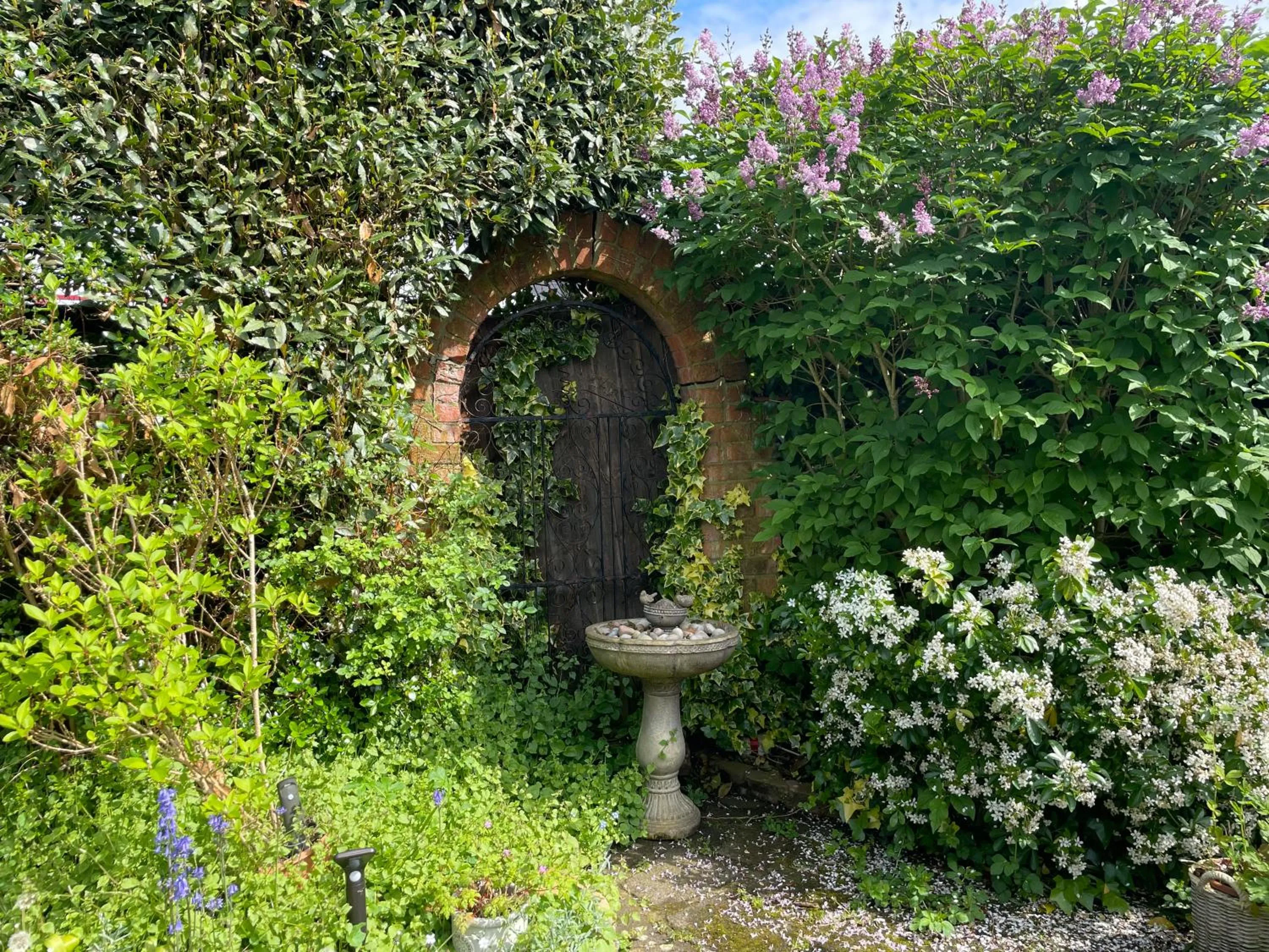 Garden in Clay Farm Guest House