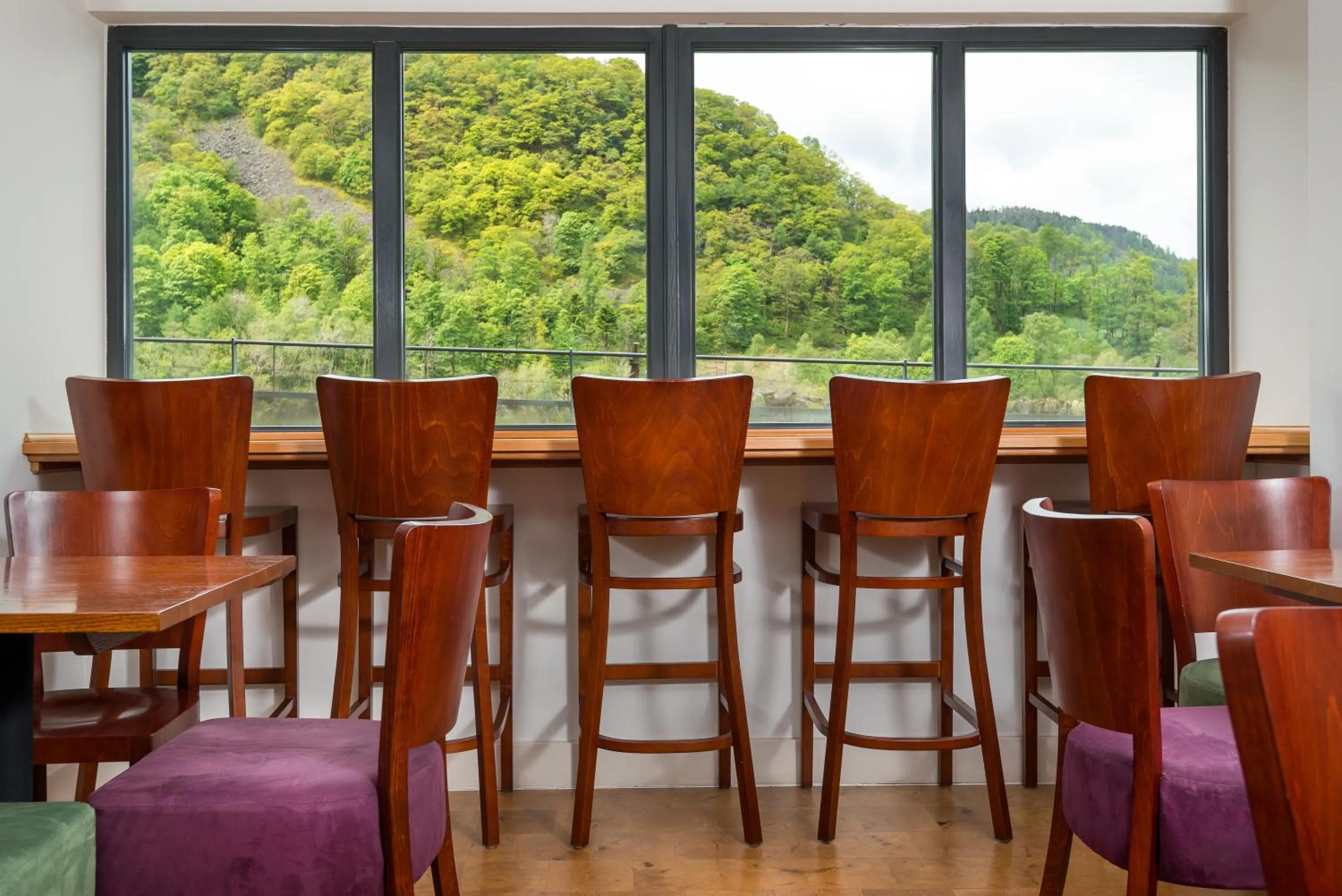 Day in The Lodge In The Vale