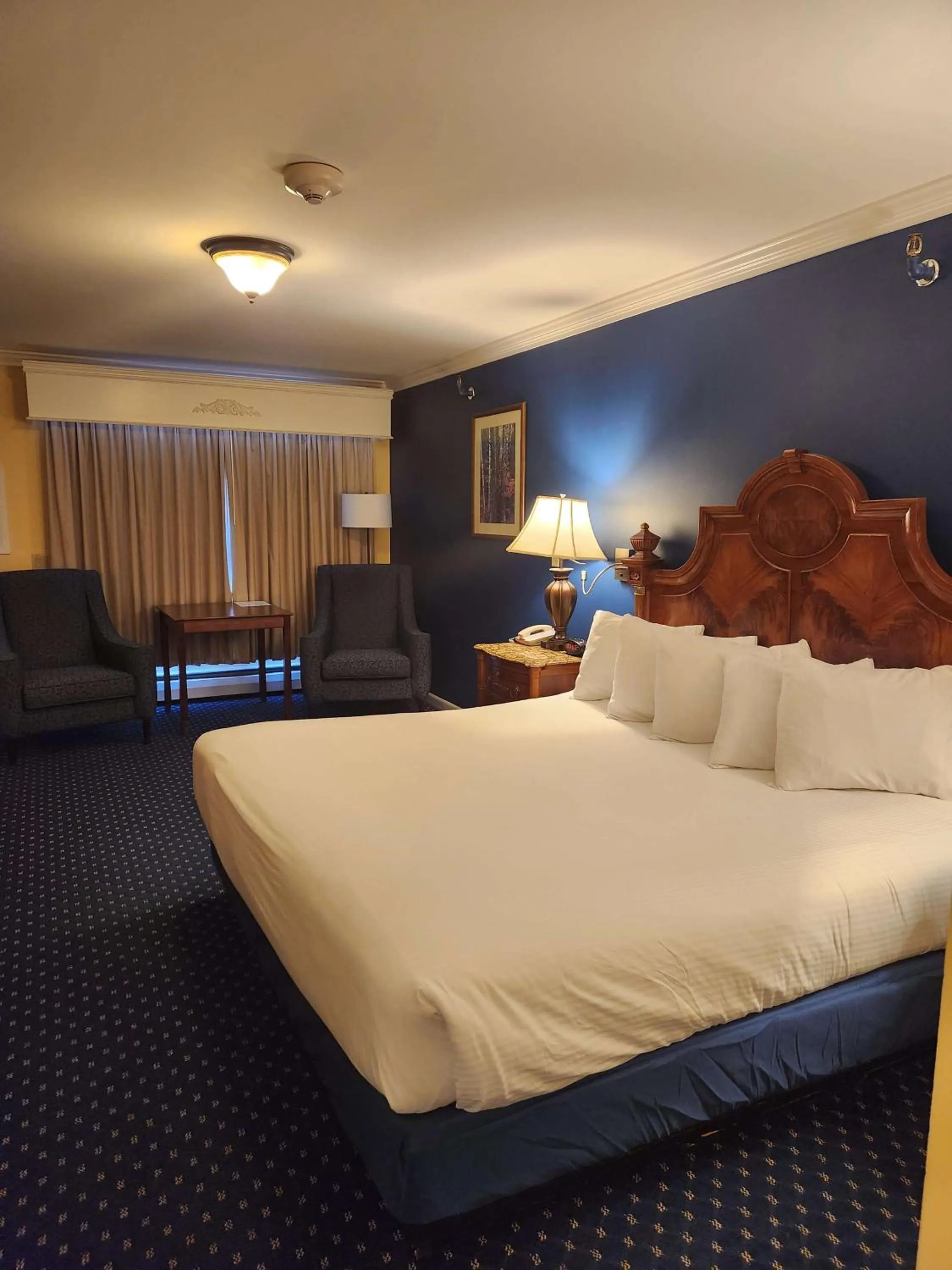 King Room - Pet Friendly - Non-Smoking in Best Western White House Inn