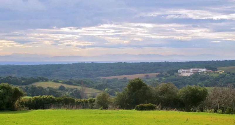 Day in El Palomar de la Breña