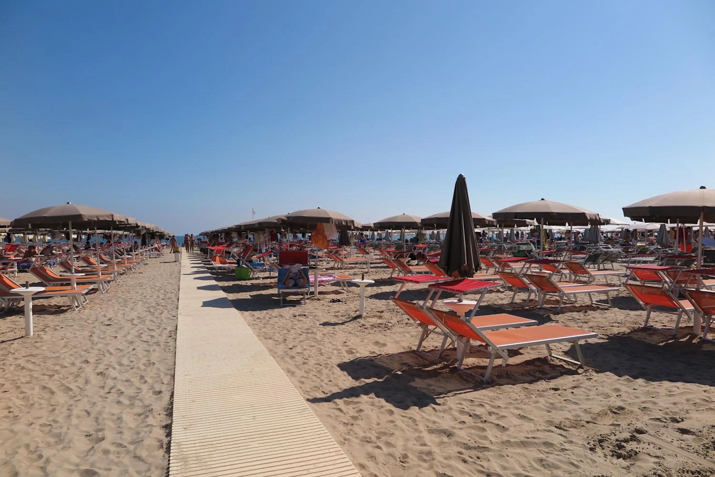 Beach in Hotel Commodore