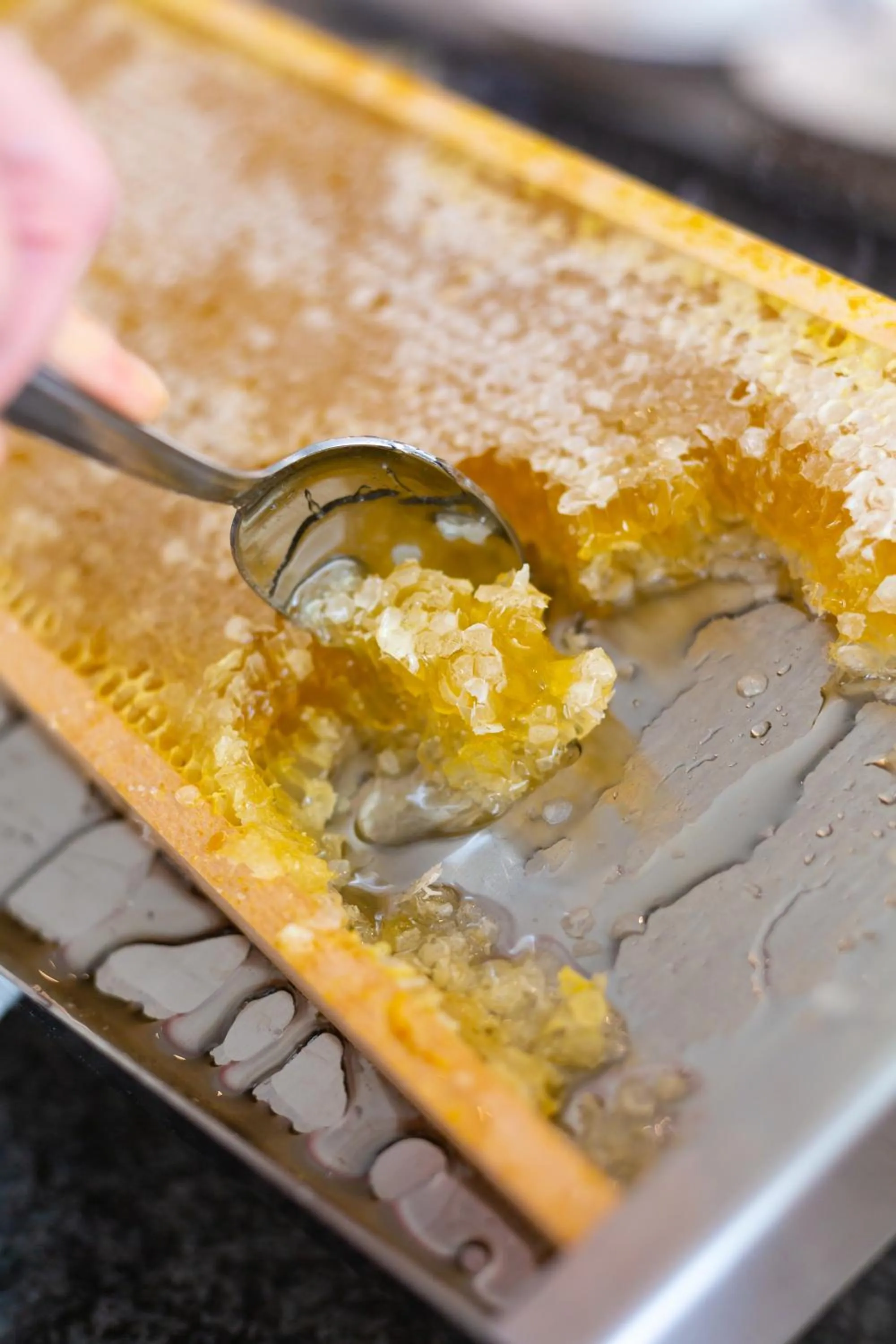 Breakfast in Hotel Commodore