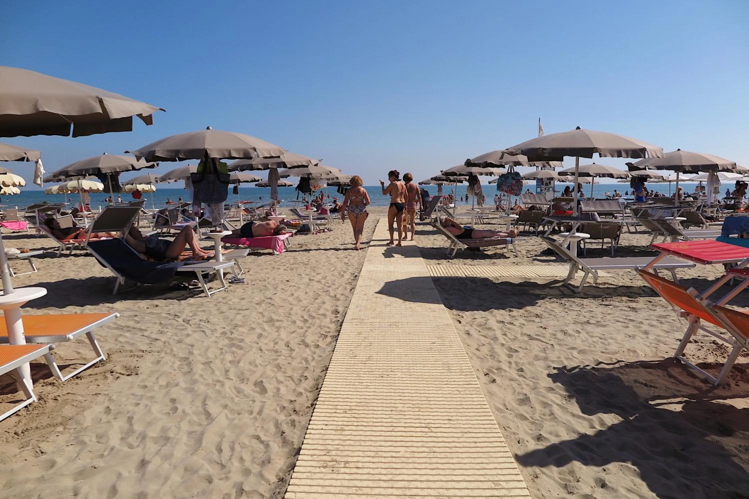 Restaurant/places to eat in Hotel Commodore