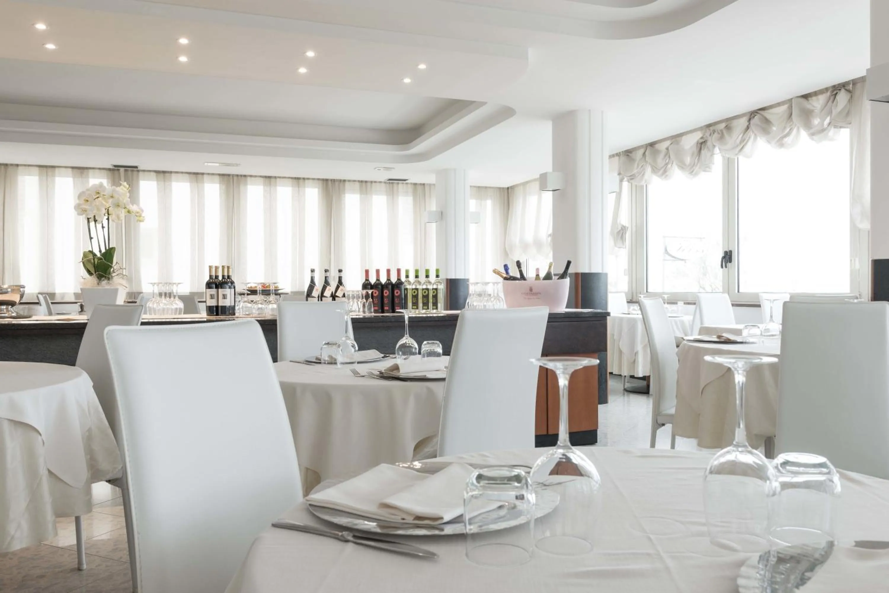 Restaurant/places to eat in Hotel Commodore