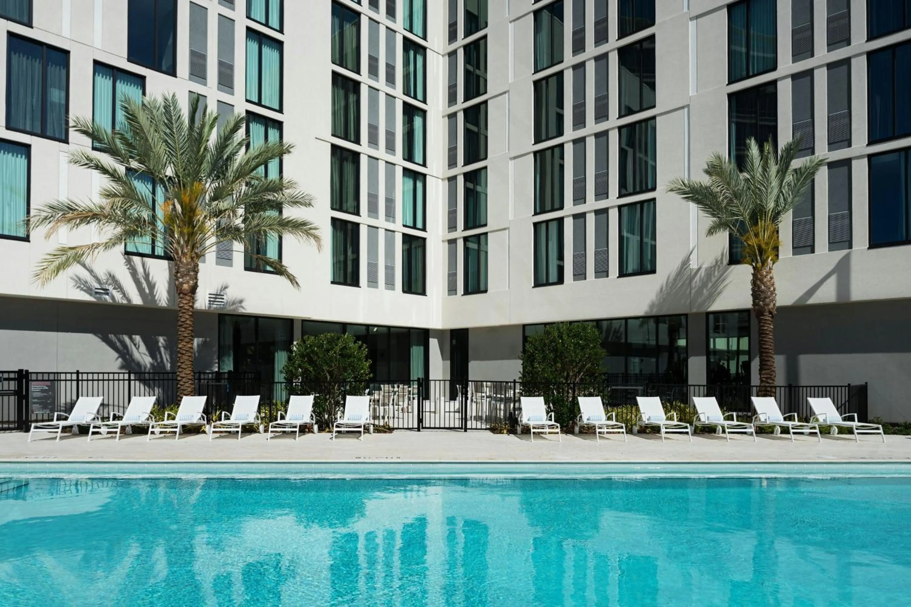 Swimming pool in AC Hotel by Marriott Tampa Airport