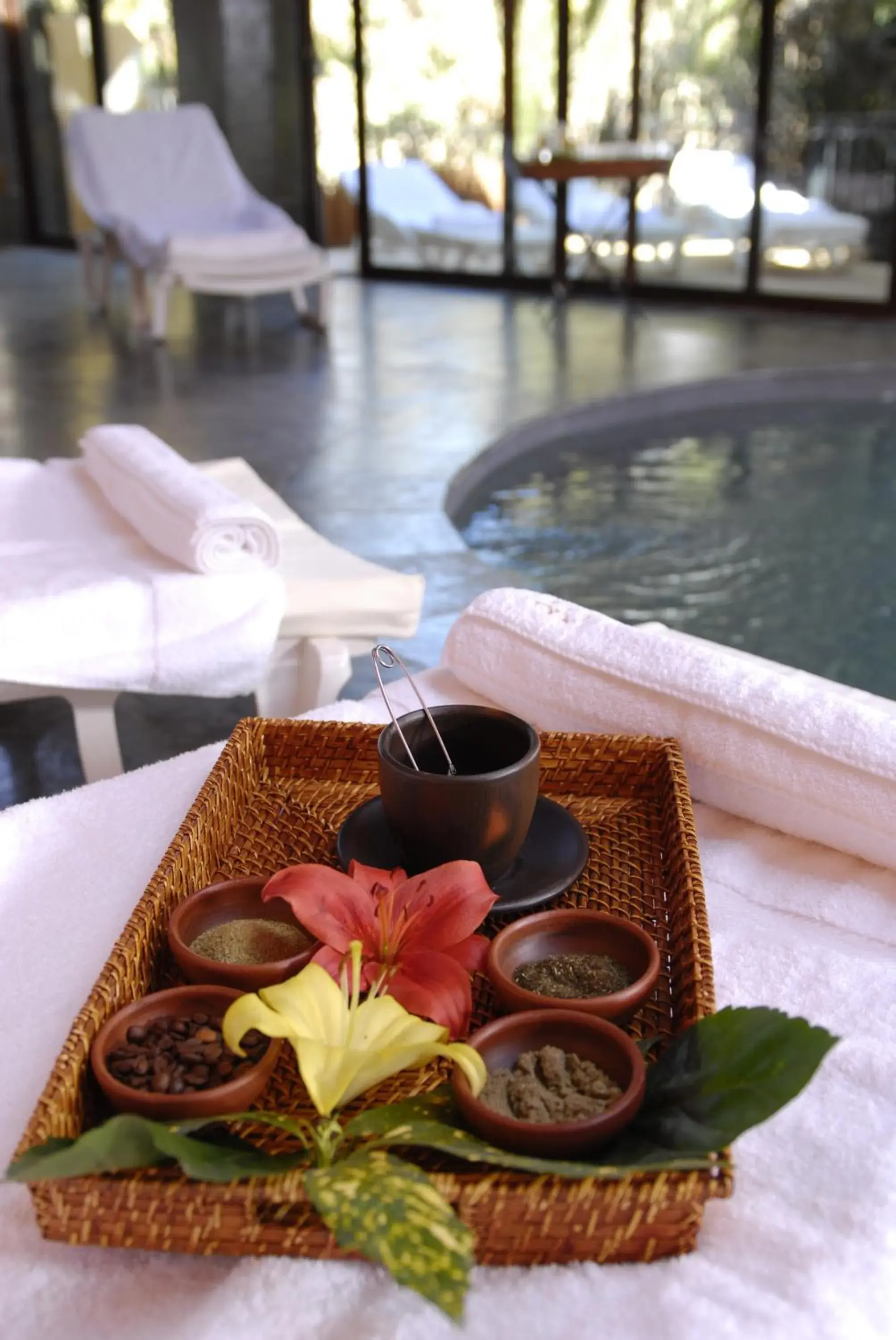 Pool view in Hotel Santa Cruz Plaza Pool view in Hotel Santa Cruz Plaza