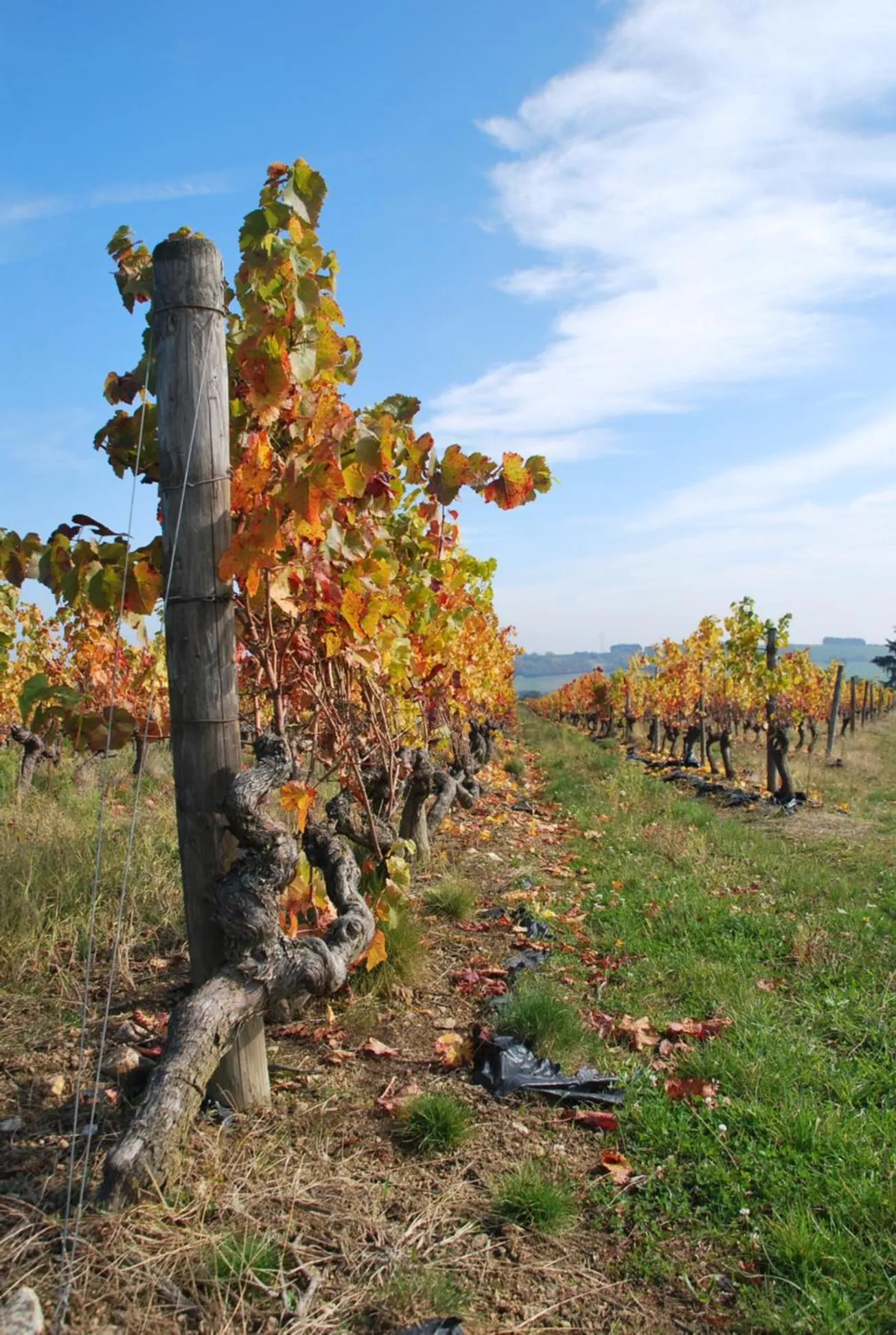 Natural landscape in Chambres d'Hôtes Maison Balady