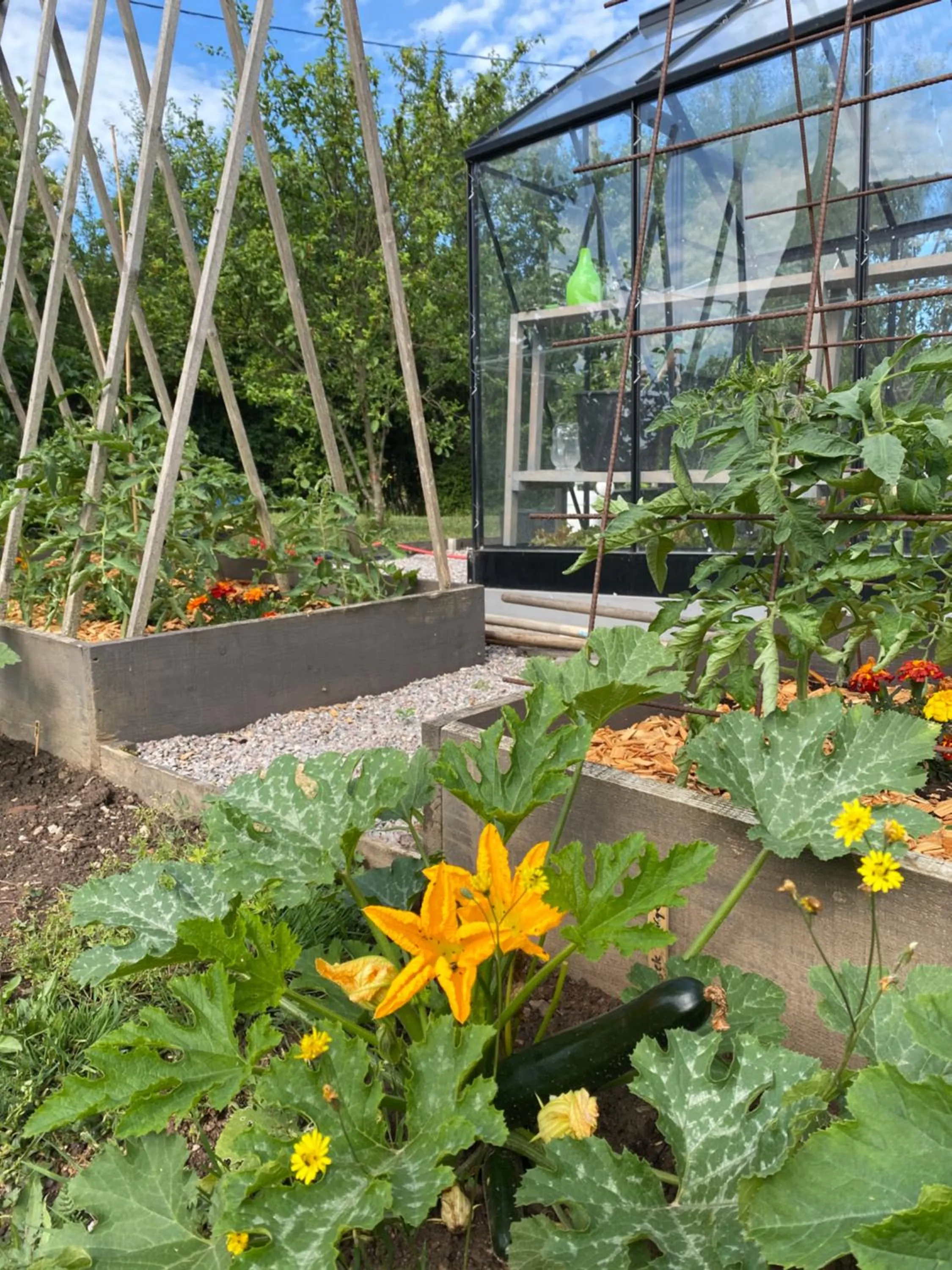 Garden in Chambres d'Hôtes Maison Balady