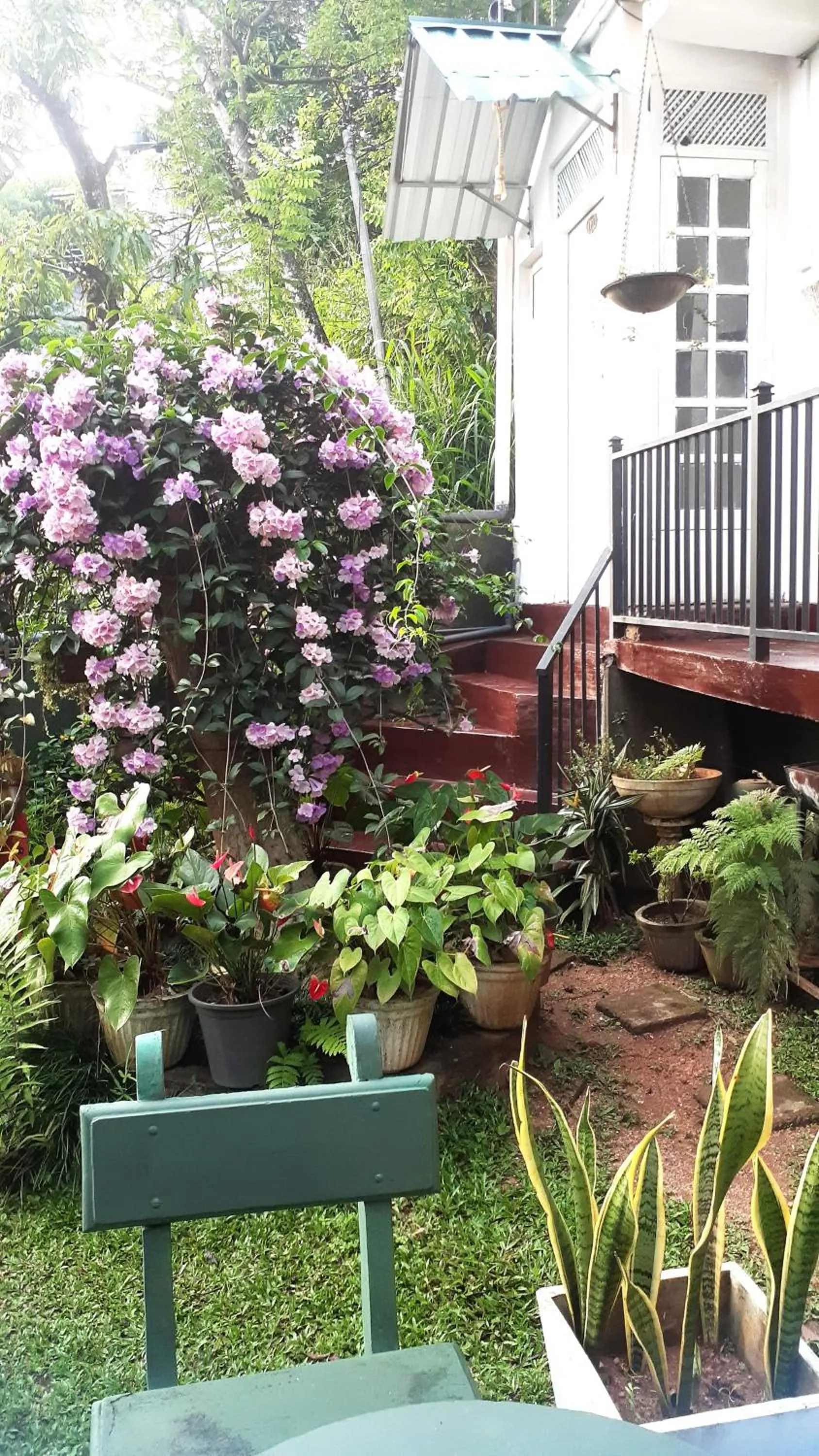 Kandy Mountain Cottage