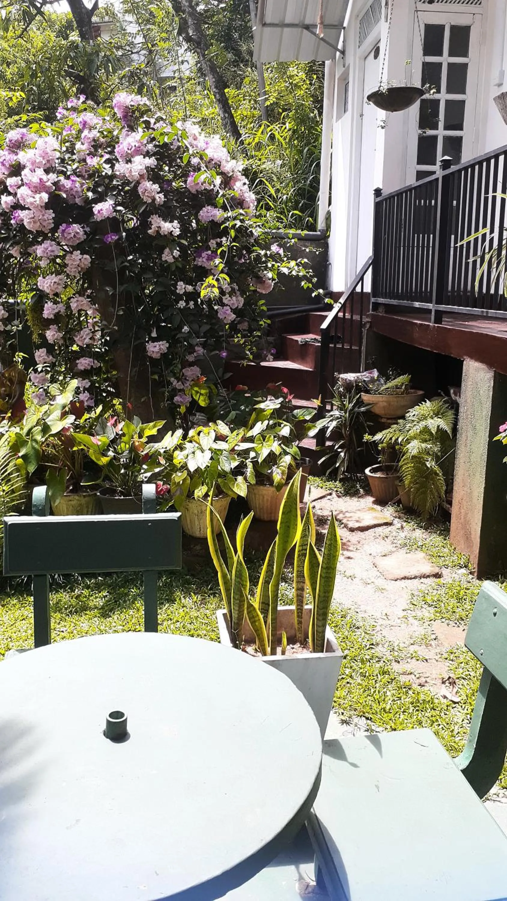 Kandy Mountain Cottage