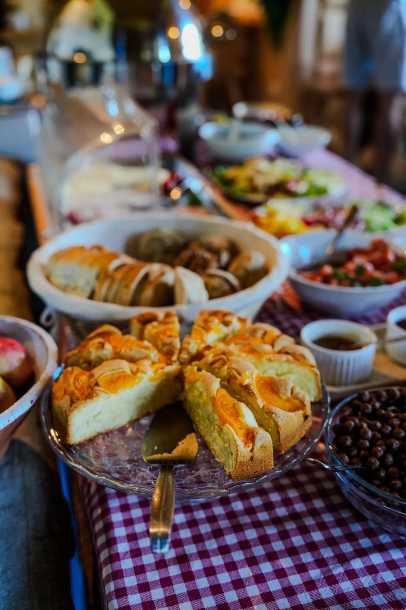 Breakfast in Villa Miodula- zwierzęta akceptowane bezpłatnie, bezpośredni widok na góry, parking w cenie!