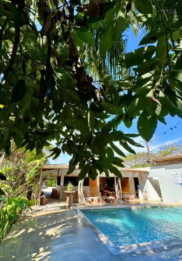 Pool view in Residencia El Balatà