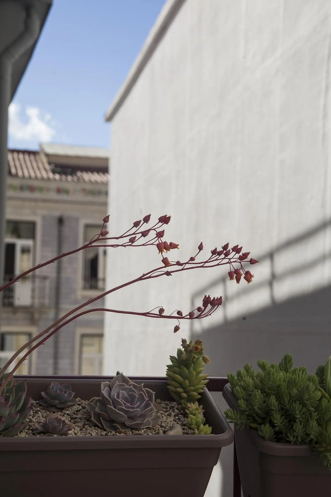 Lisbon Poets Inn