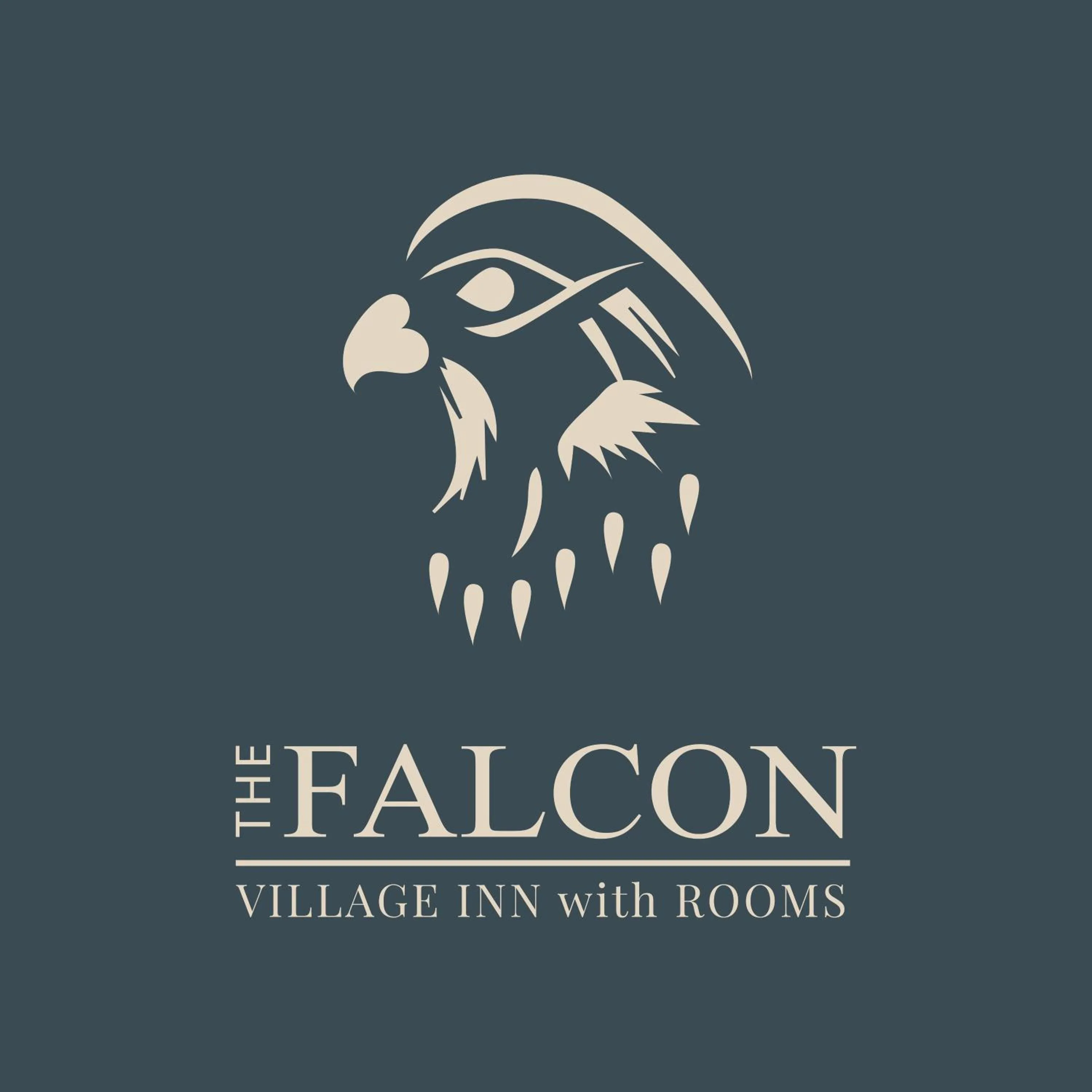TV and multimedia in The Falcon Inn