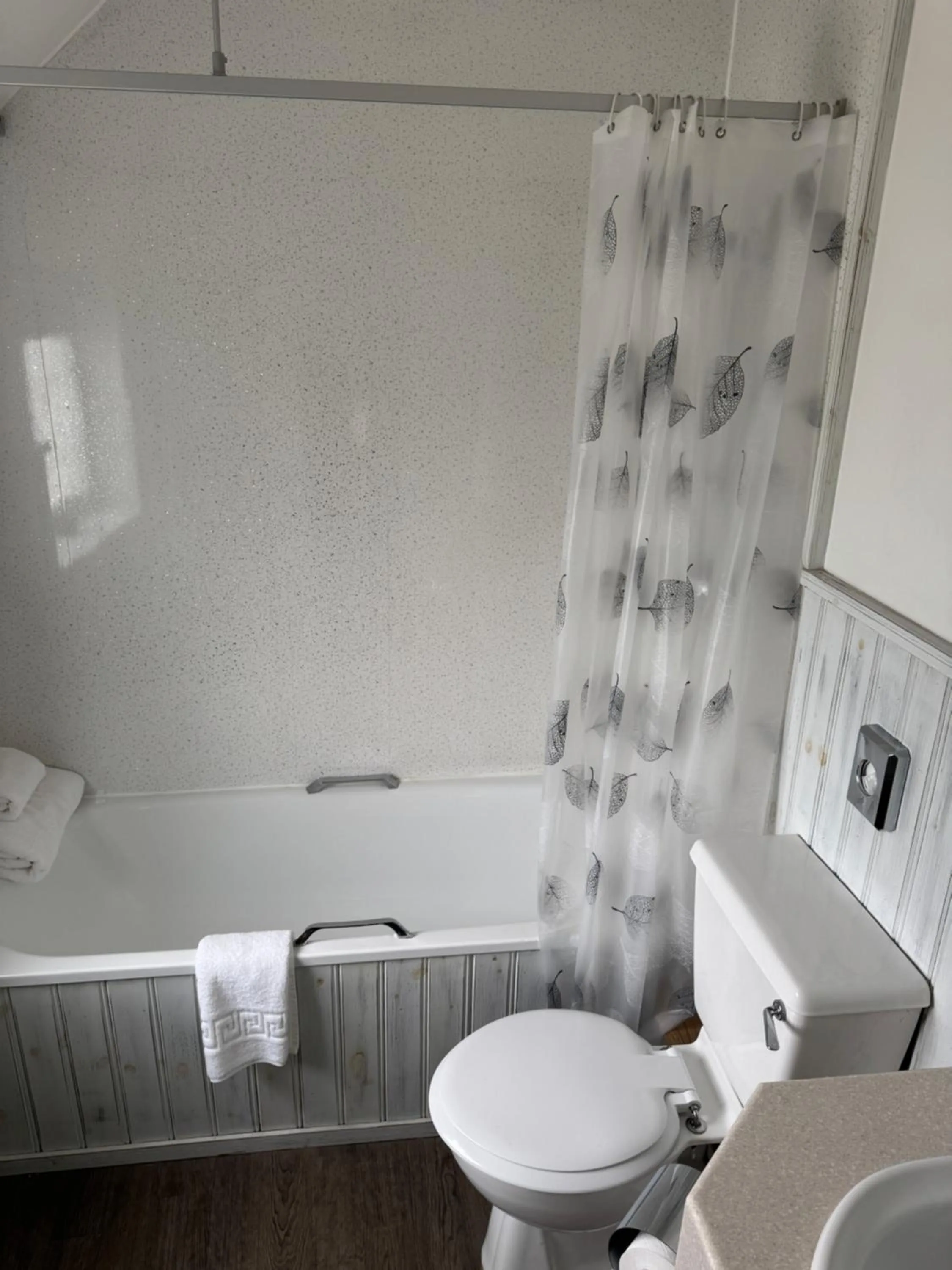 Shower in The Falcon Inn