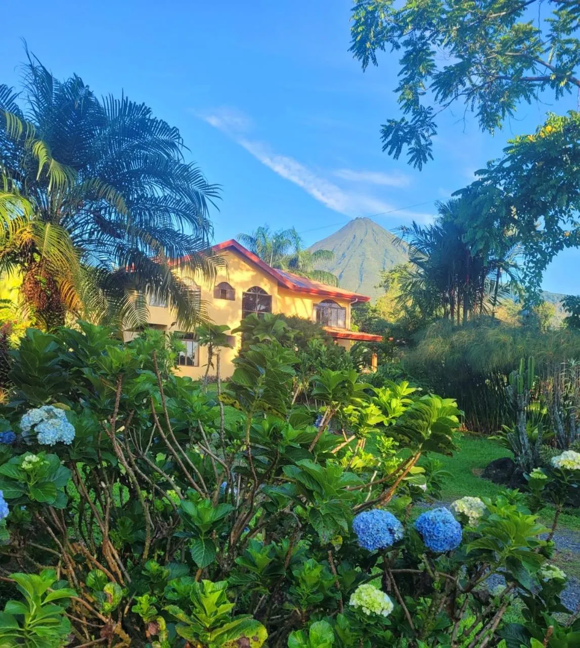 Hiking in Yellow Tree Suites