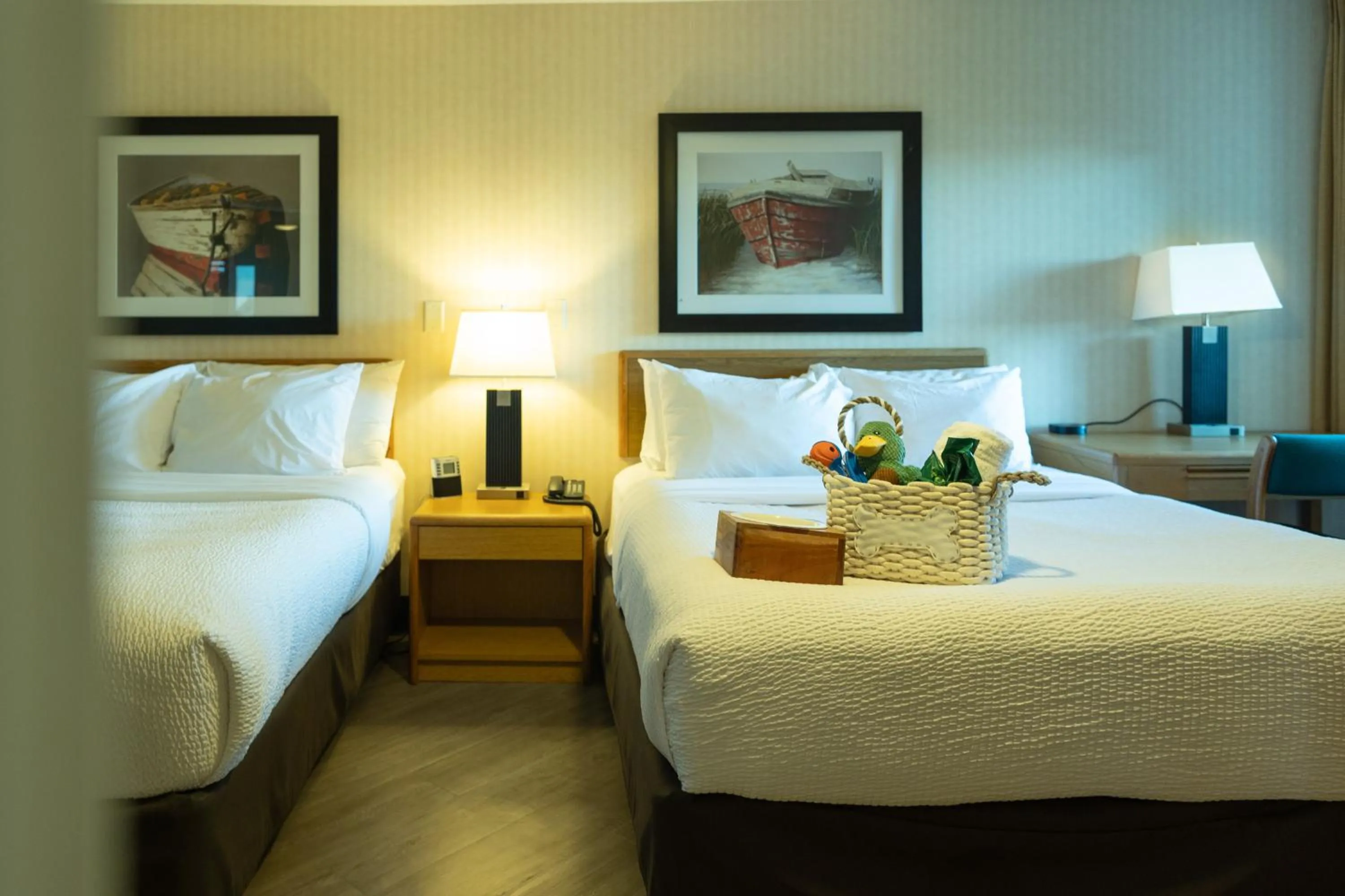 Pets, Bed in Inn on Long Lake