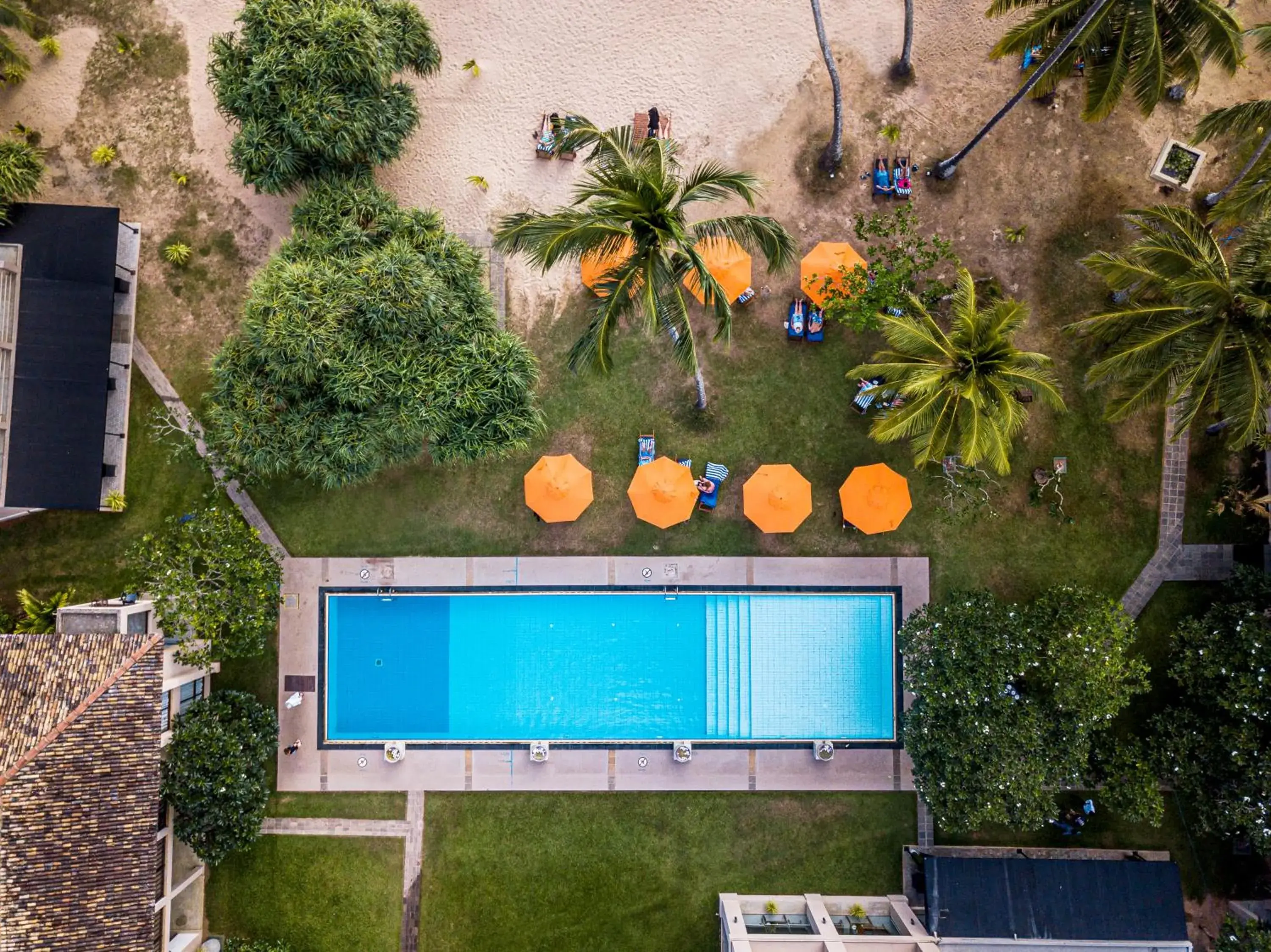 Swimming pool in Mandara Resort Mirissa Swimming pool in Mandara Resort Mirissa