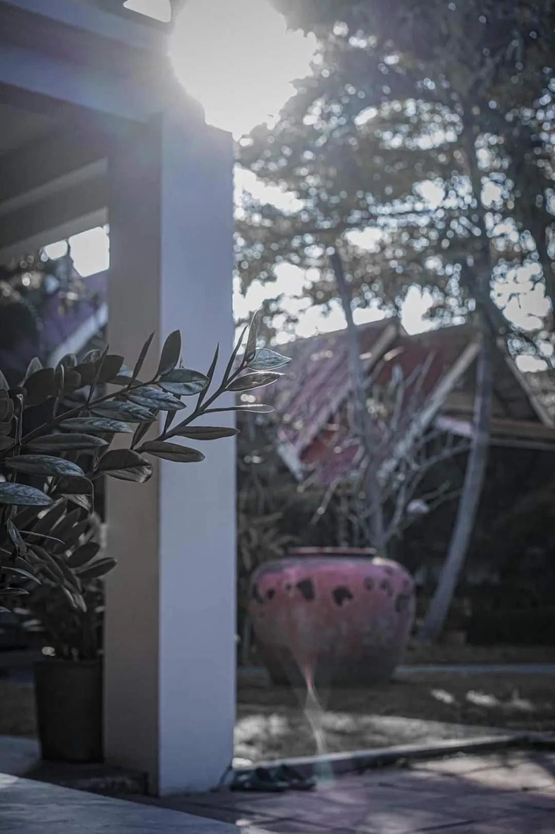 Garden view in Niwas Ayutthaya