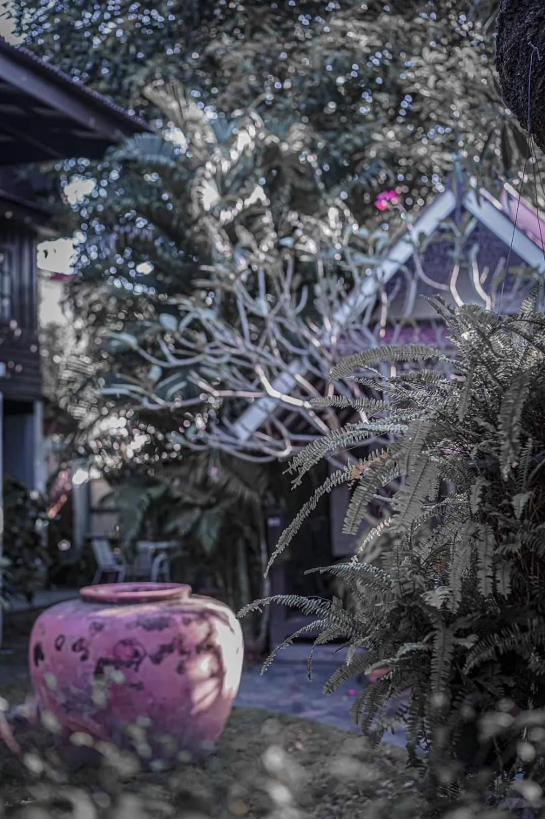 Garden view in Niwas Ayutthaya