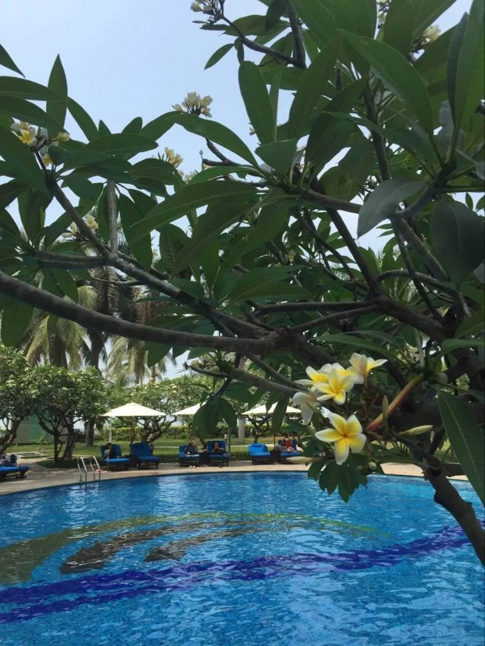 Swimming pool in Tianze Beach Resort