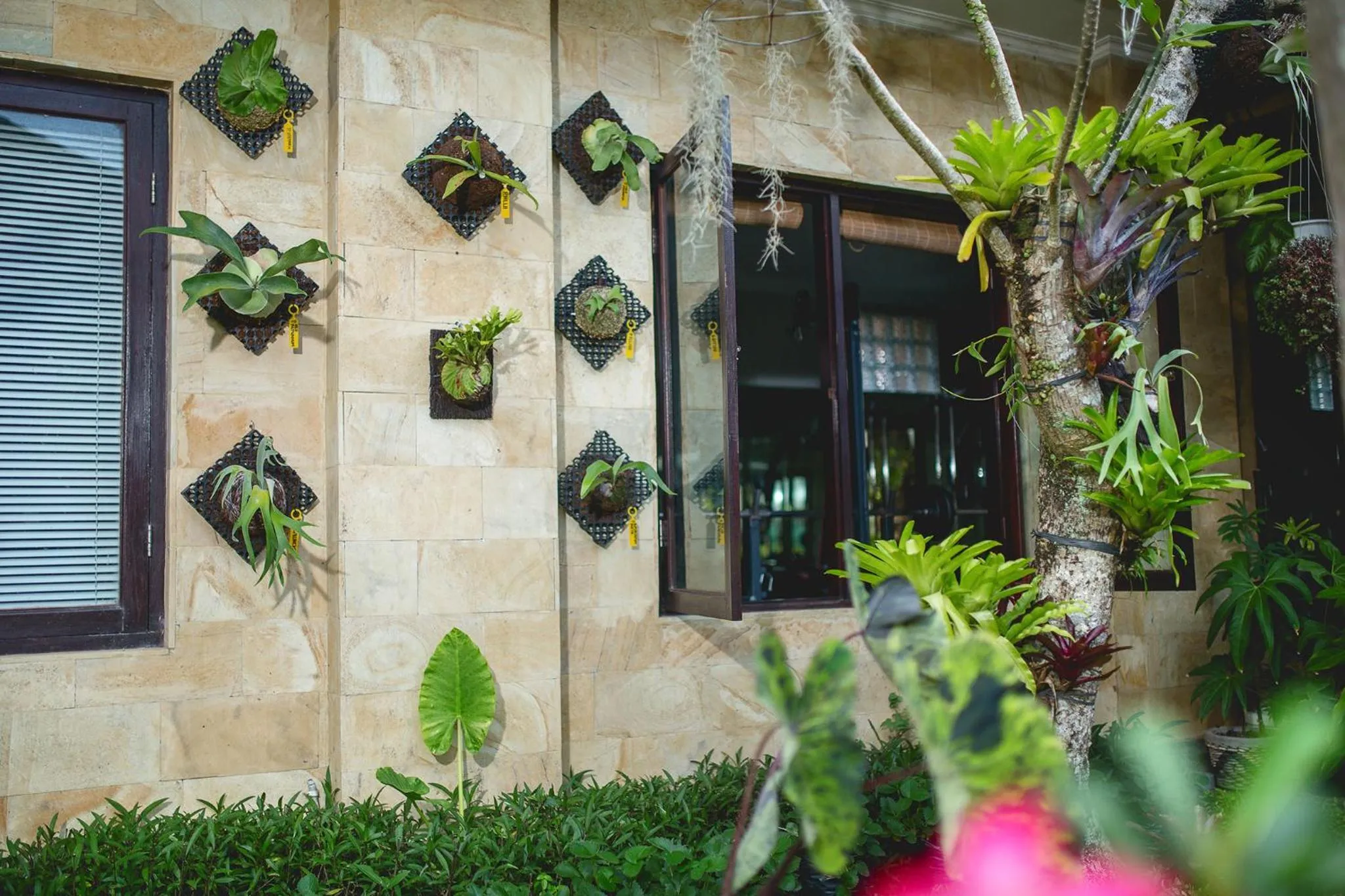 Garden in Alas Petulu Villa Resort and Spa