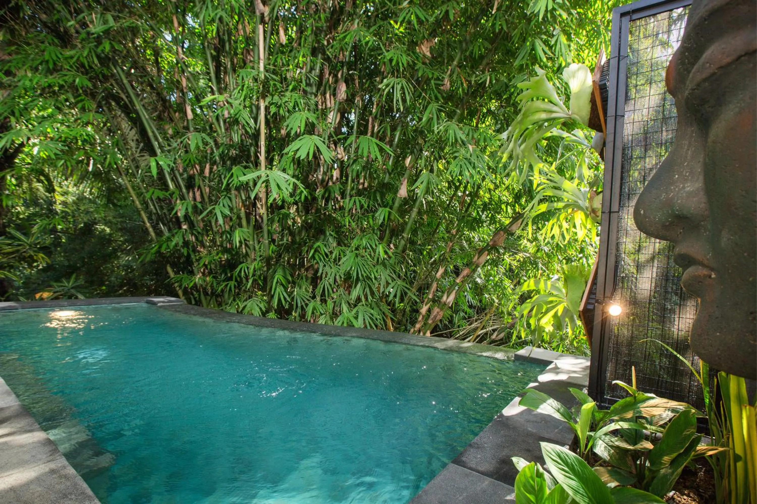 View (from property/room) in Alas Petulu Villa Resort and Spa