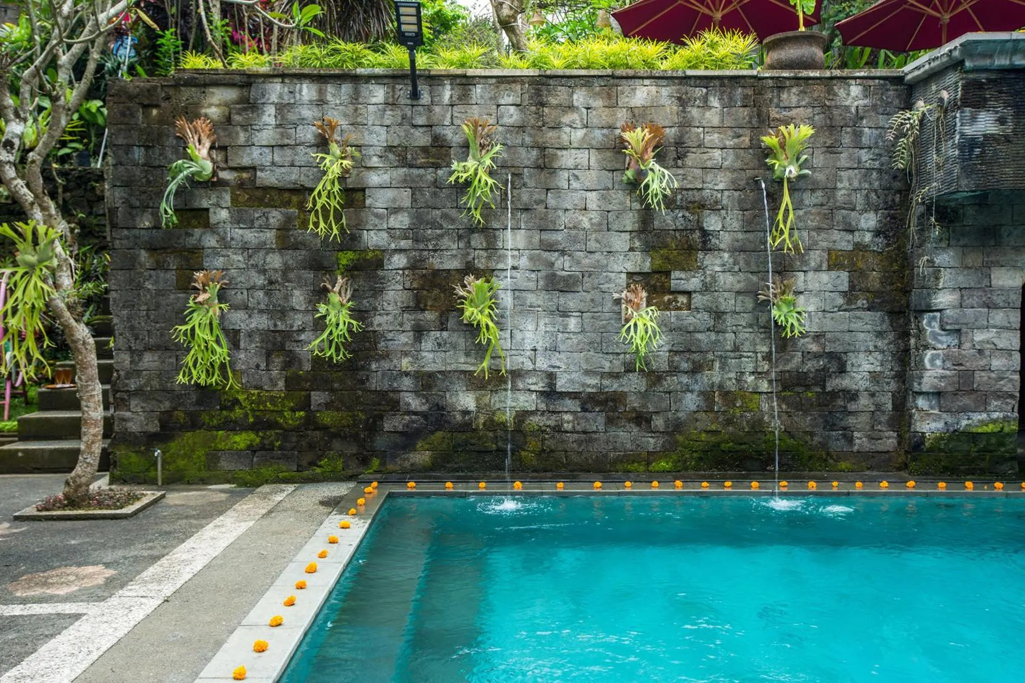 Garden in Alas Petulu Villa Resort and Spa