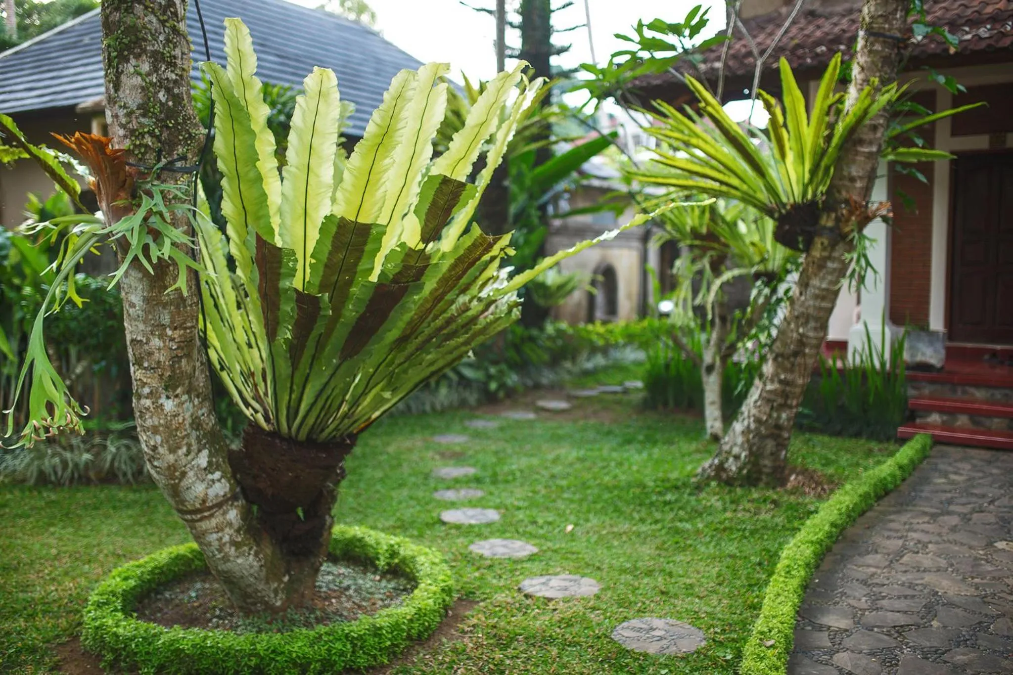 Garden in Alas Petulu Villa Resort and Spa
