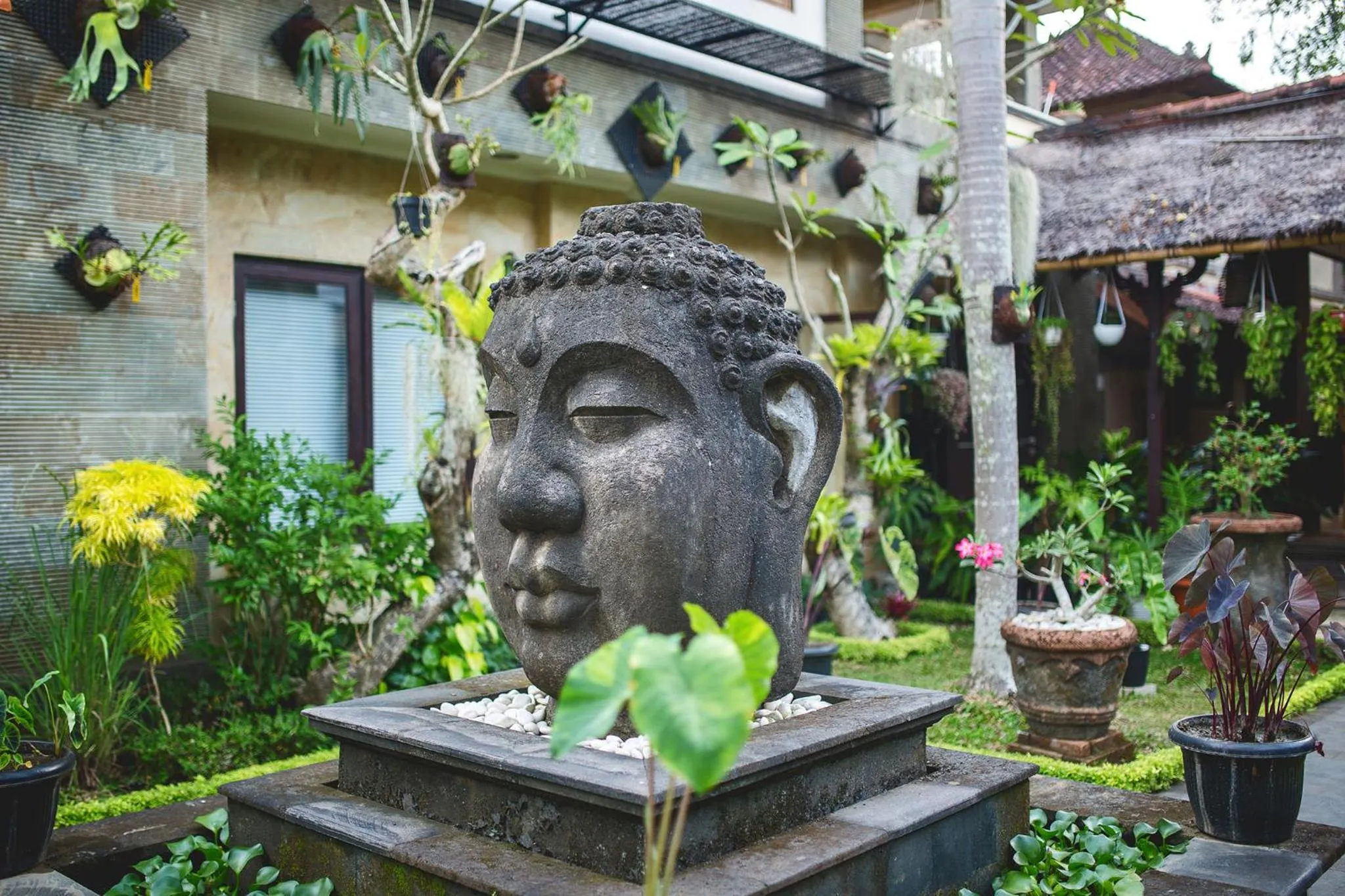 Garden in Alas Petulu Villa Resort and Spa