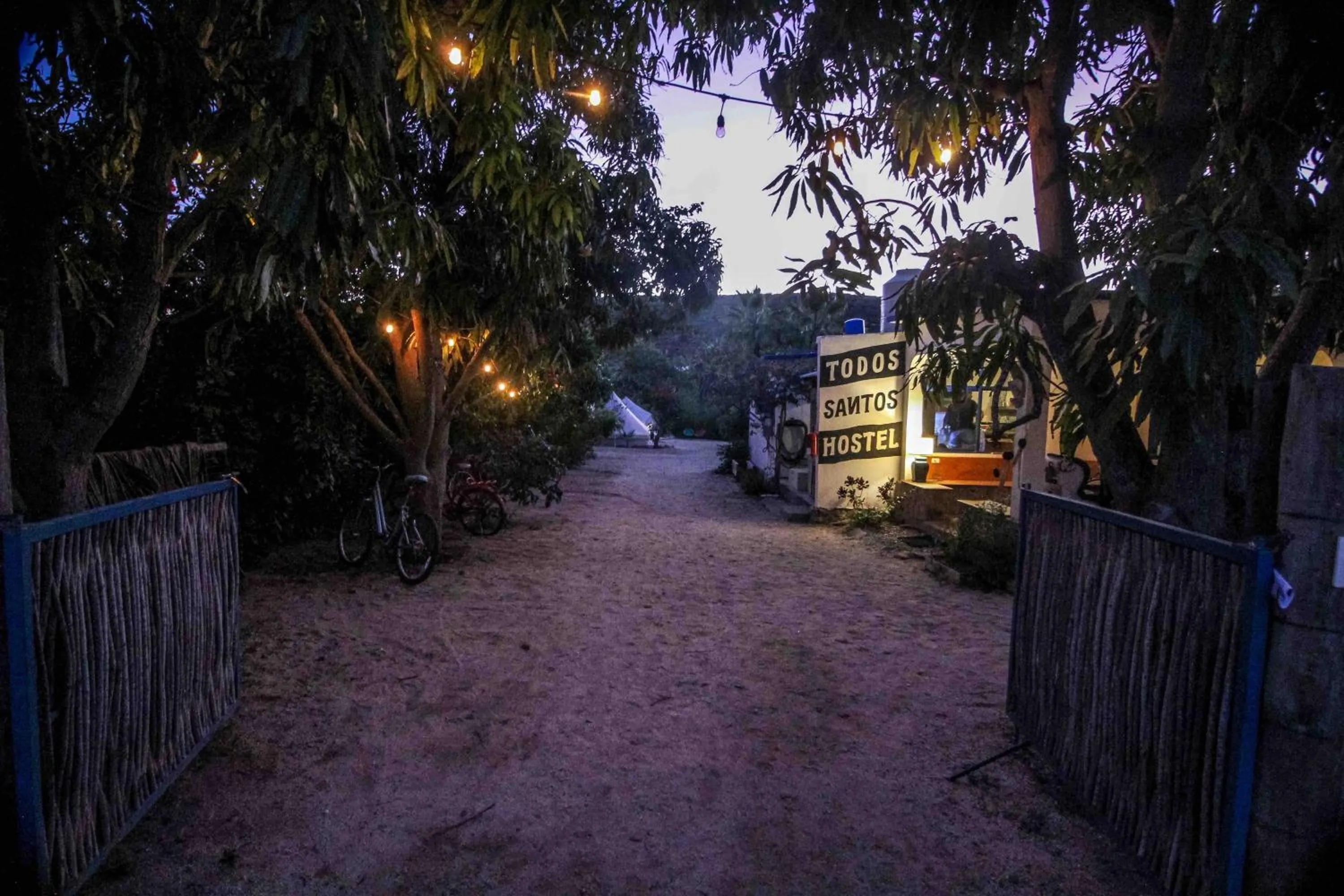 Todos Santos Hostel super fast and stable satellite wifi