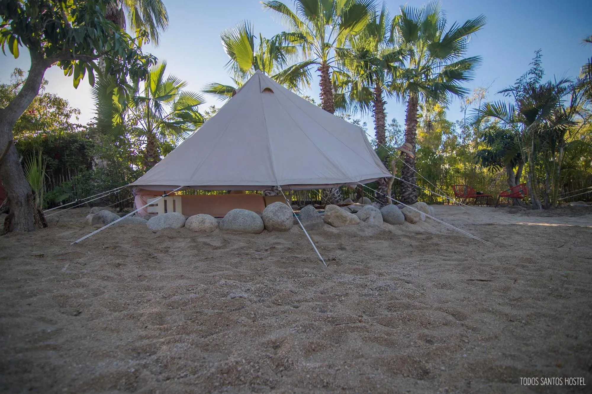 Todos Santos Hostel super fast and stable satellite wifi