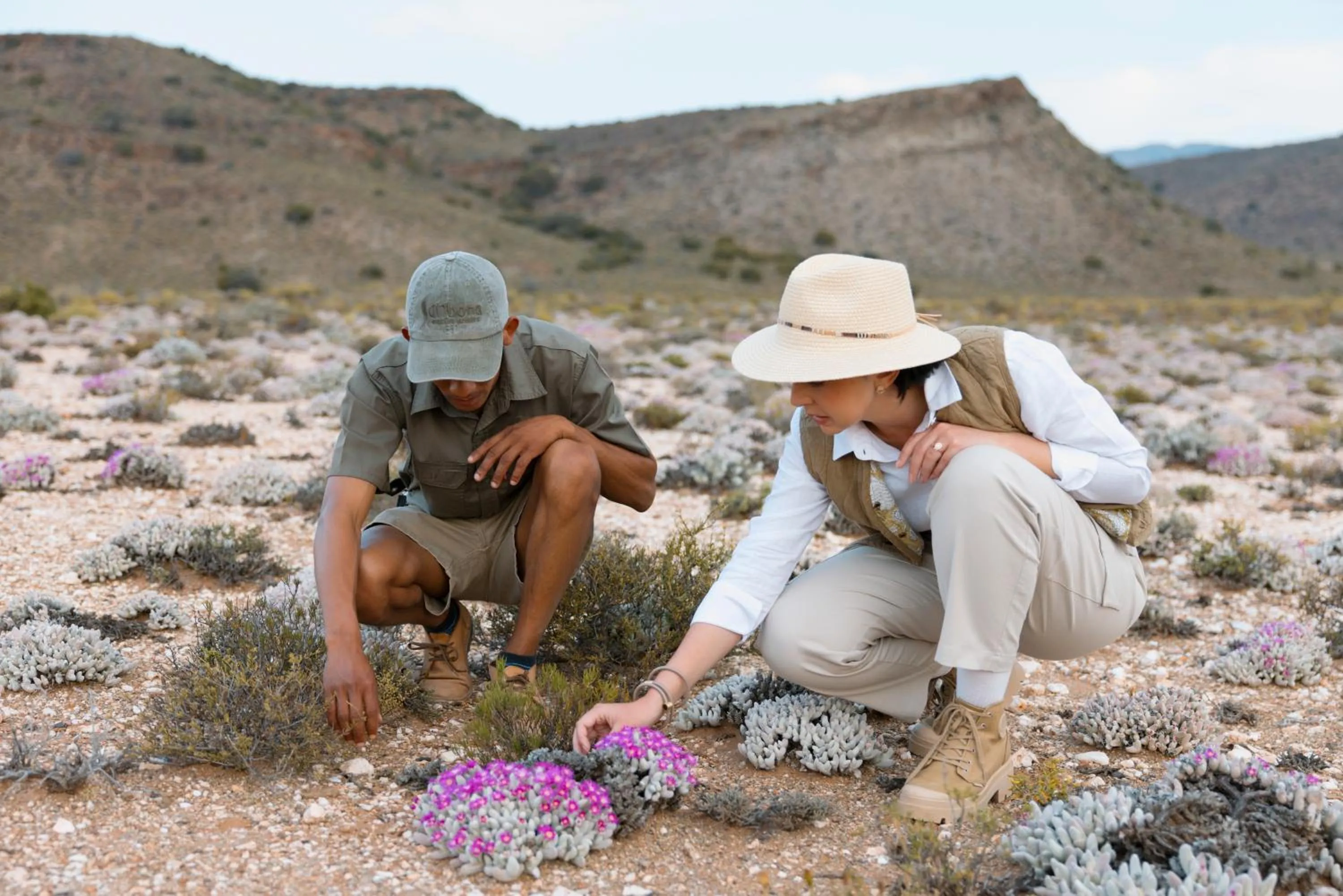 View (from property/room) in Sanbona Wildlife Reserve